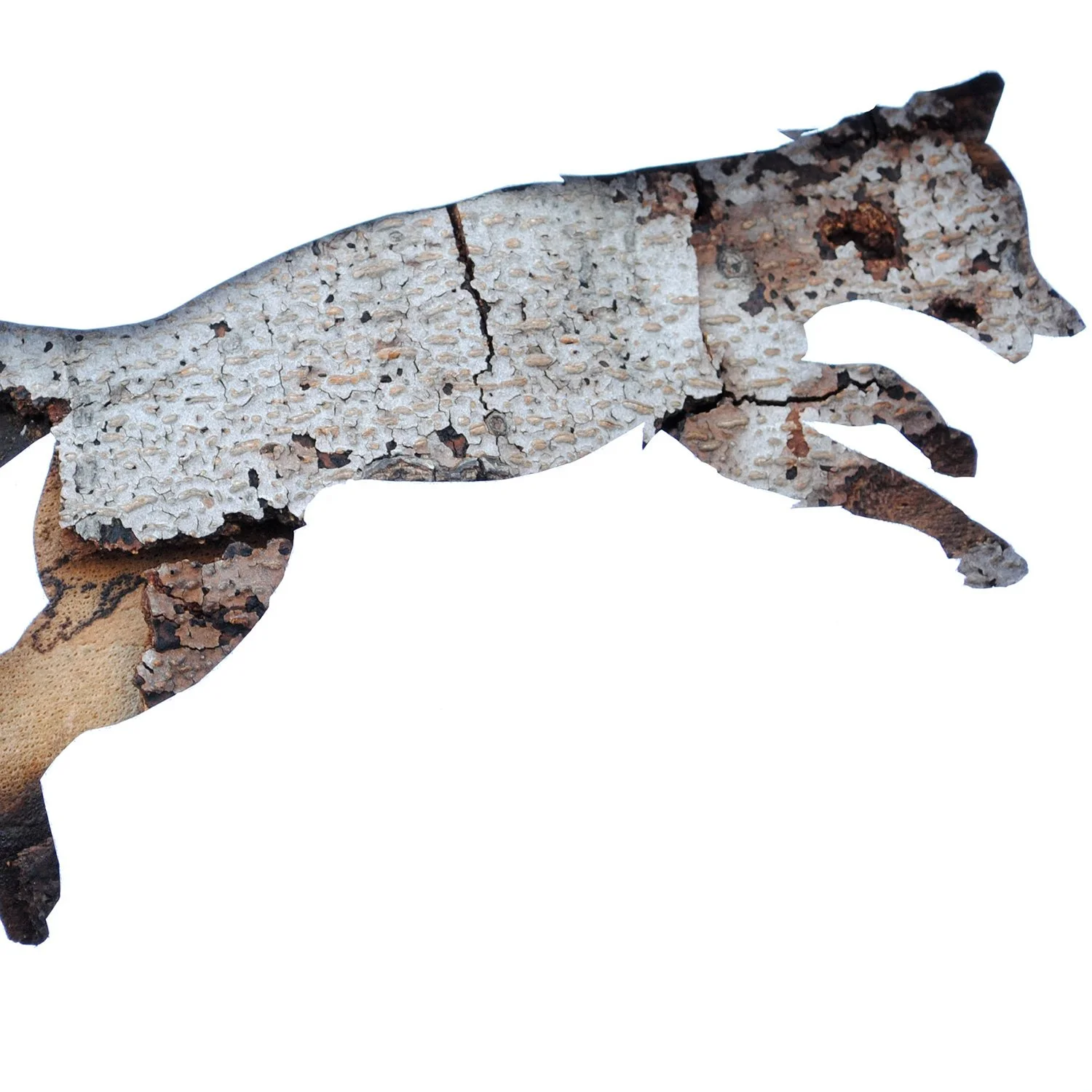 Red Fox in Bark | wildlife print
