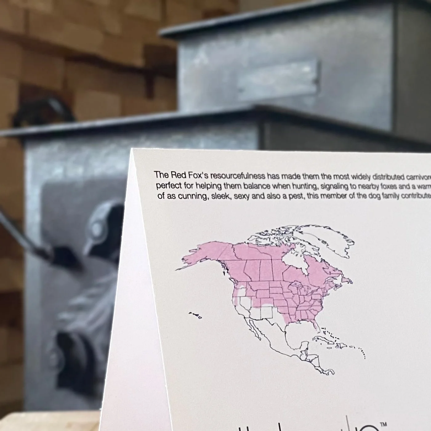 Back of wildlife stationery card showing educational Red Fox facts and illustrated habitat map.