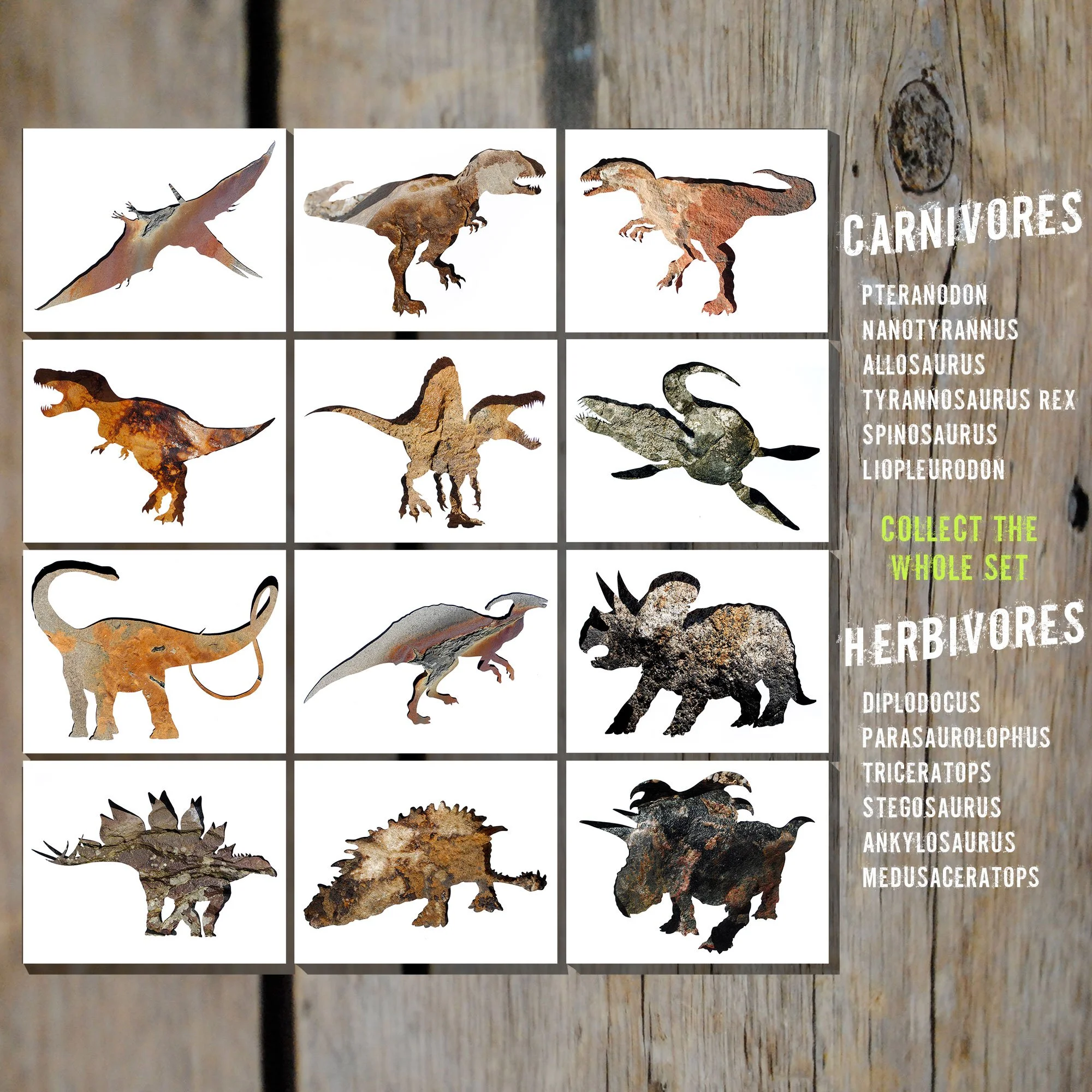 Stone Dinosaur Note Cards - Mix and Match Sets