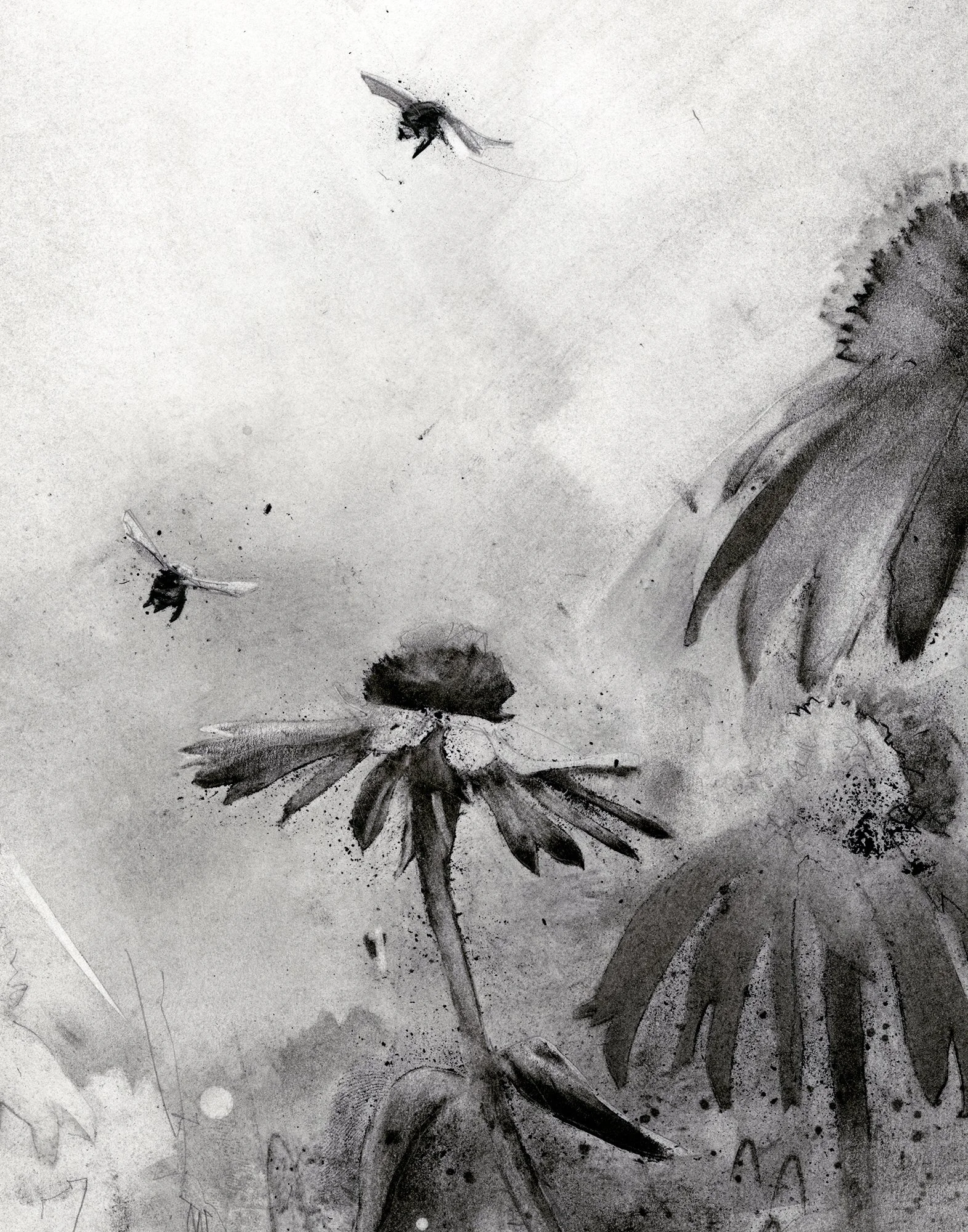 Close-up detail of the archival giclée print showing expressive charcoal marks, honey bees, and purple coneflower petals.