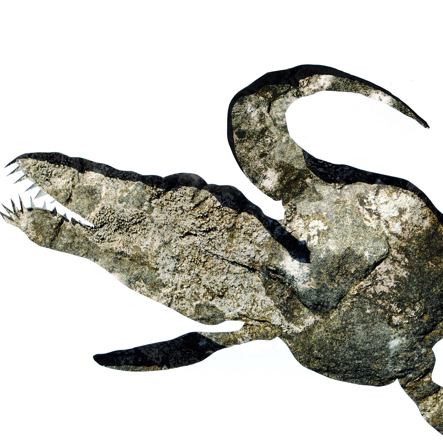 Liopleurodon in Stone | dinosaur print