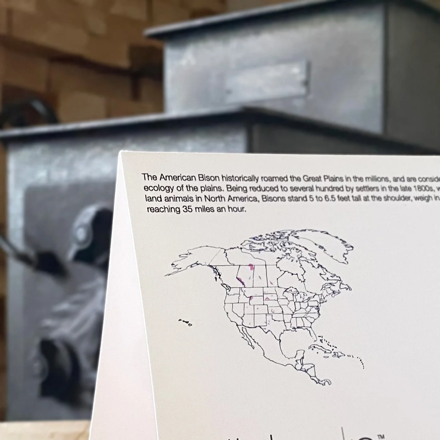 Back of wildlife stationery card showing educational Bison facts and illustrated habitat map.