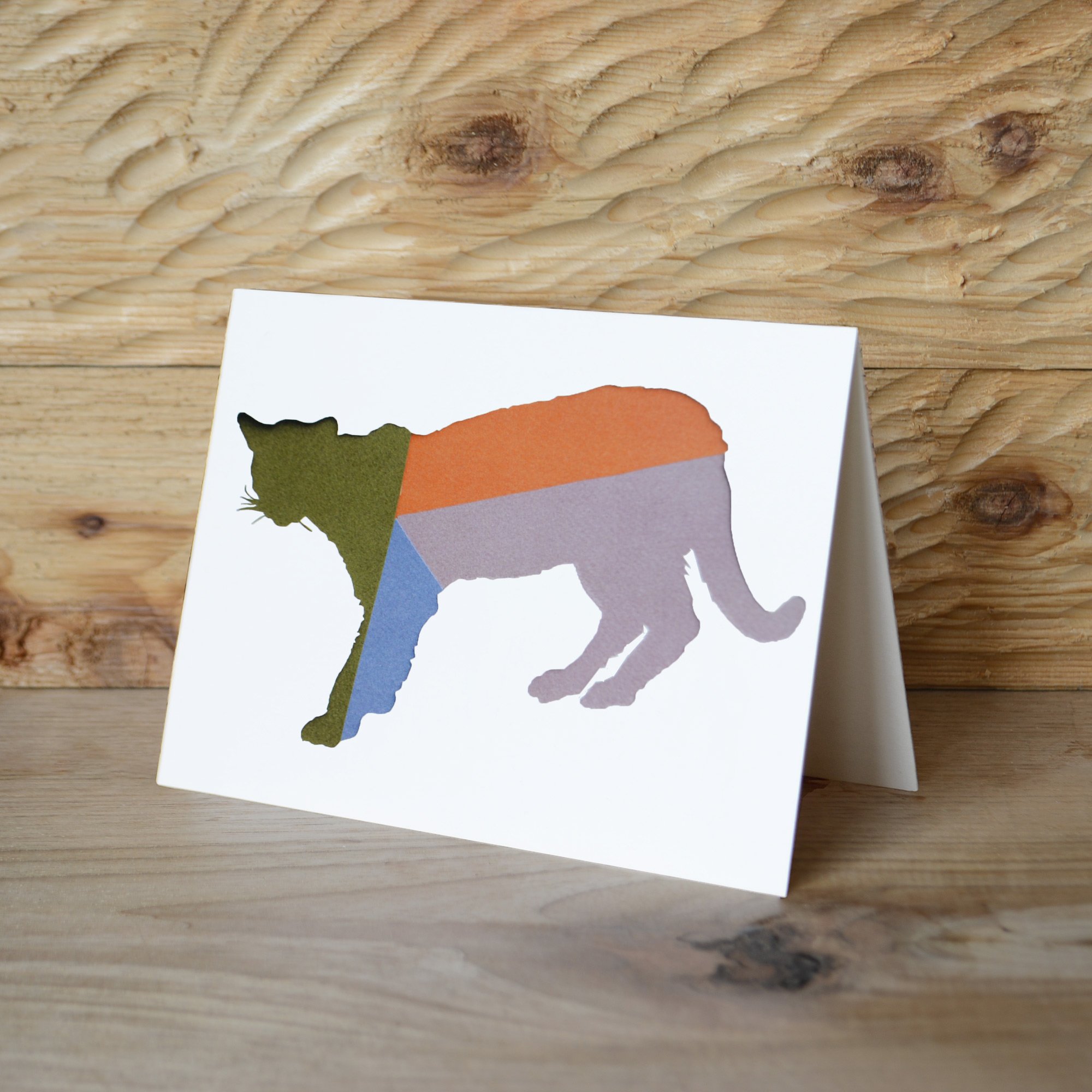 Florida Panther Note Cards