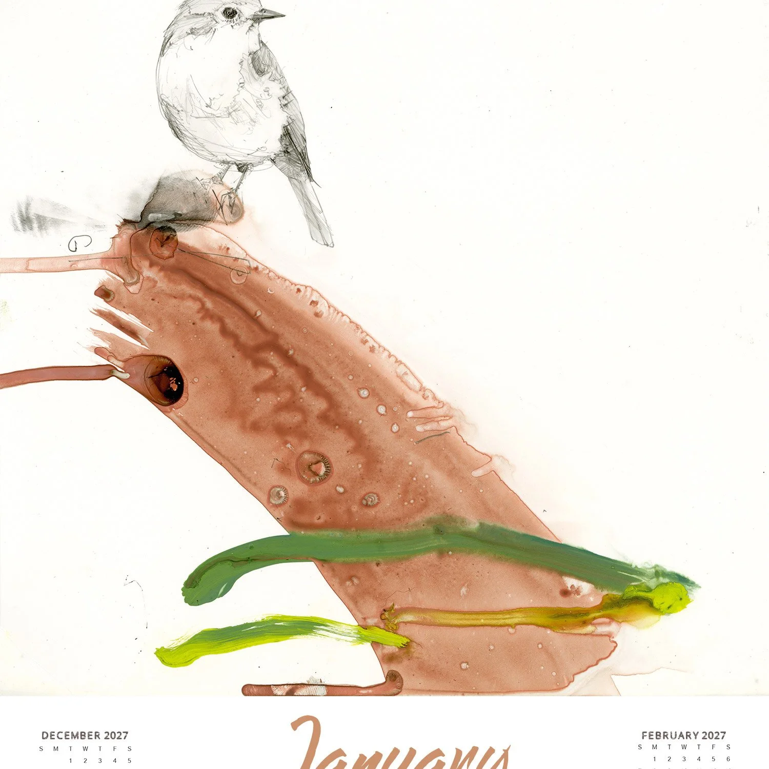 Pre-Order 2027 Wabi Sabi Bird Painting Calendar