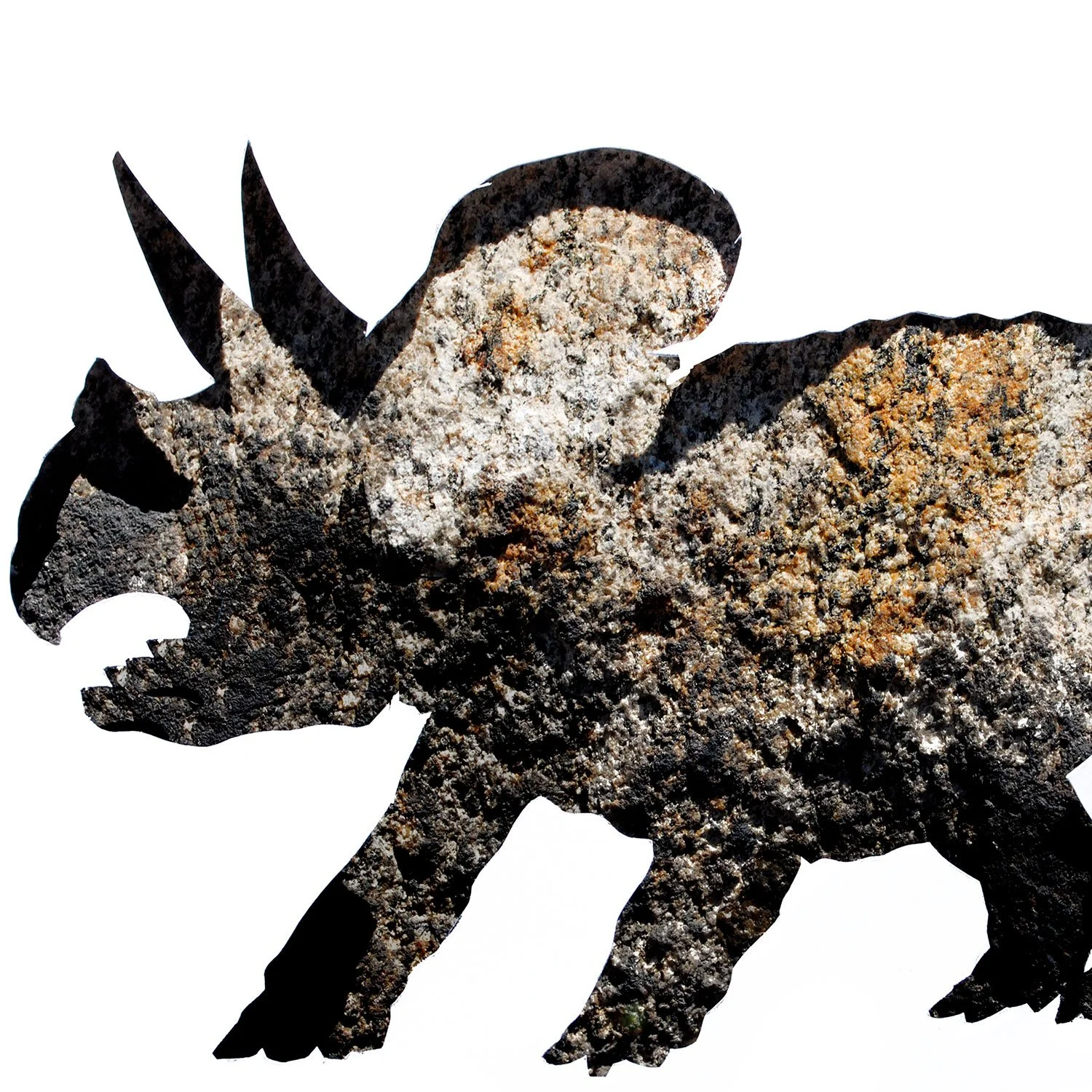Triceratops in Stone | dinosaur print