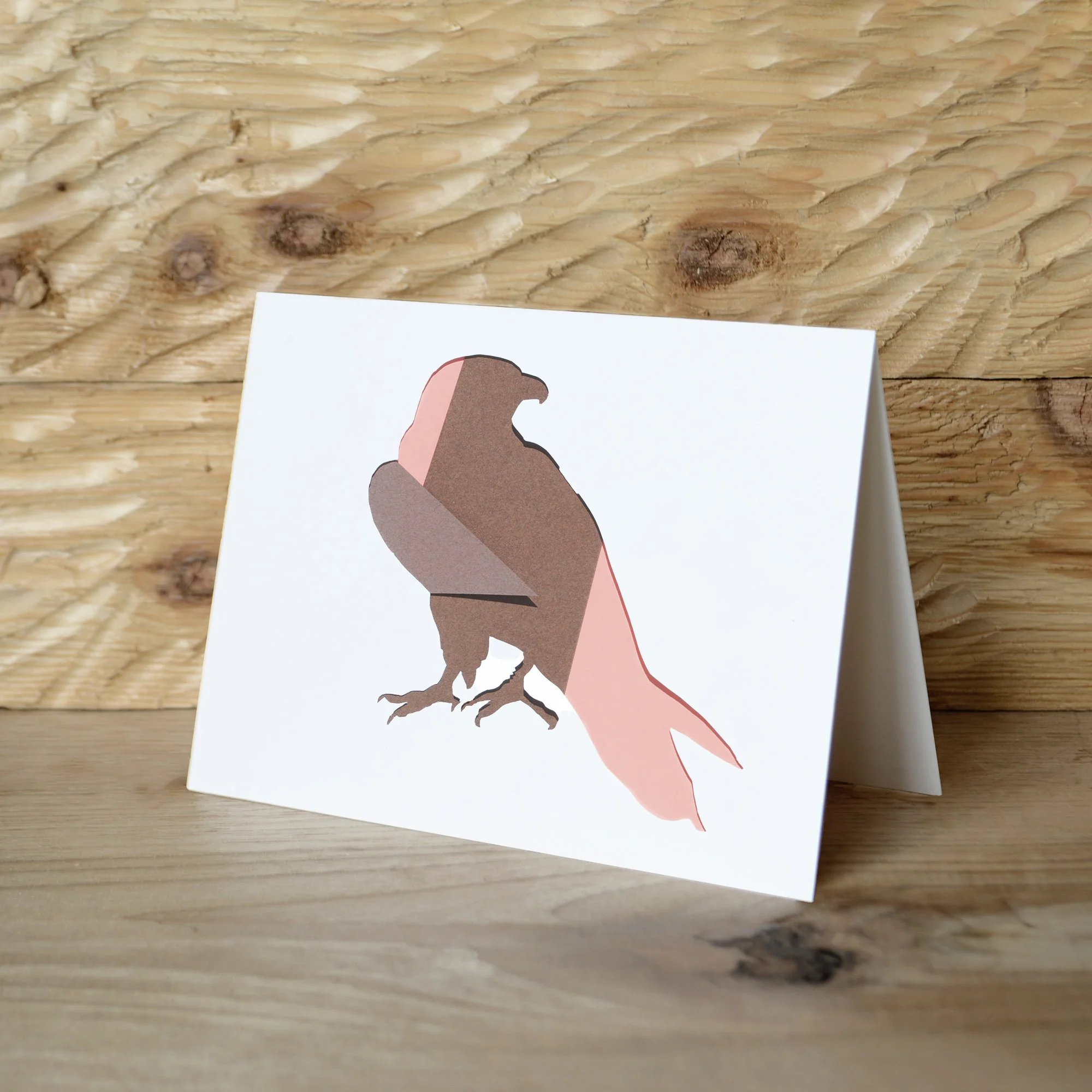 Peregrine Falcon Note Cards