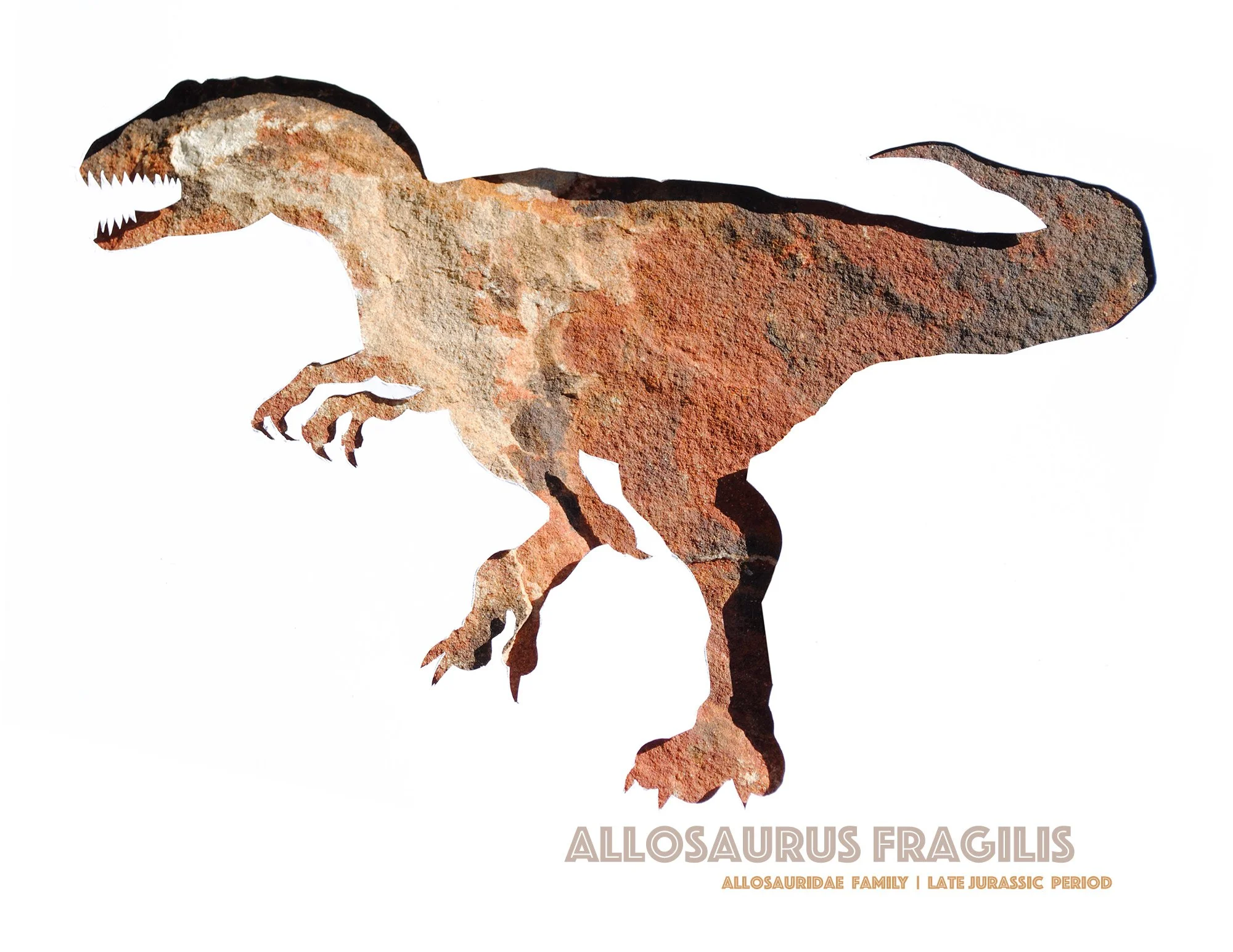 allosaurus-wall-art-print.jpg