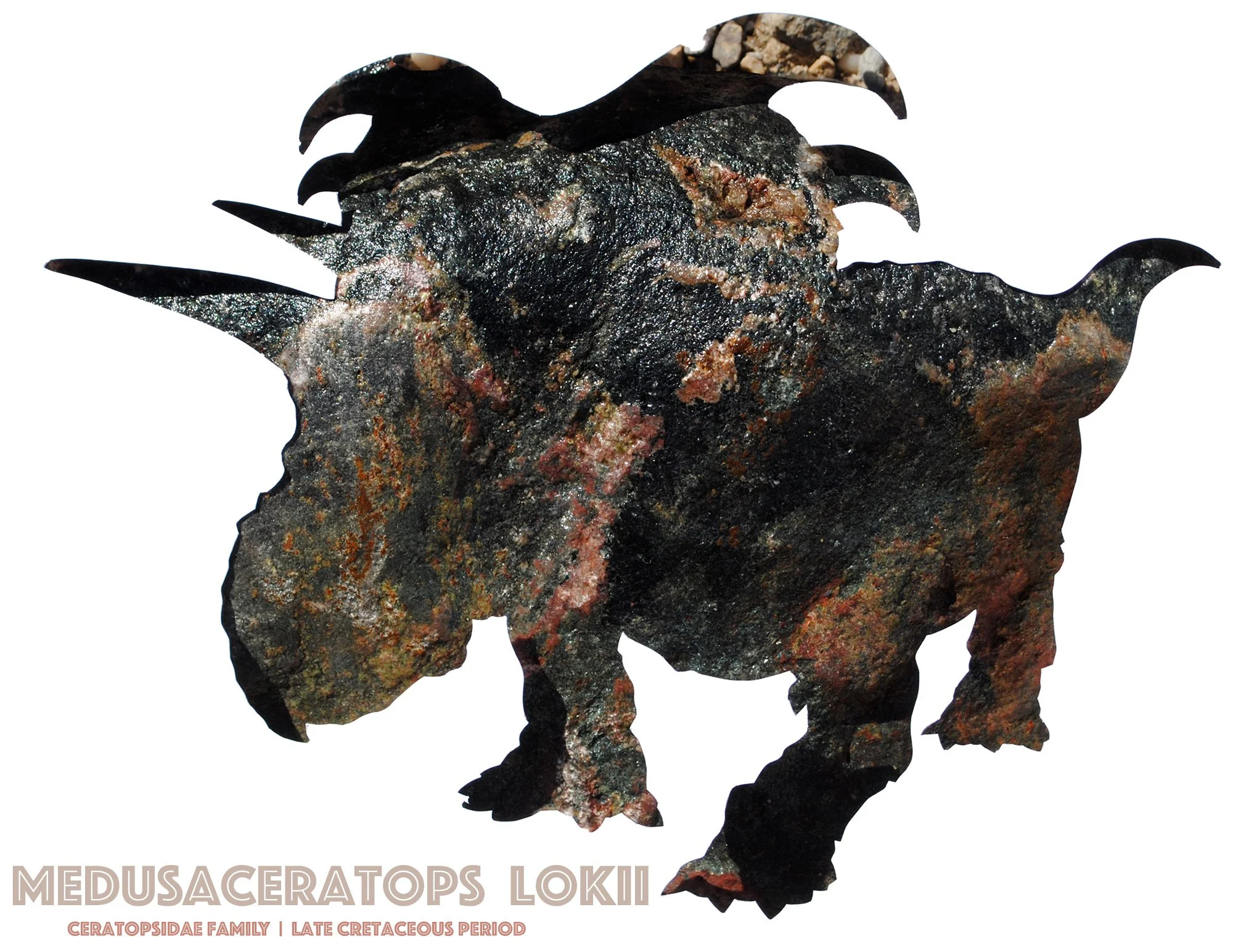 medusaceratops-wall-art-print.jpg