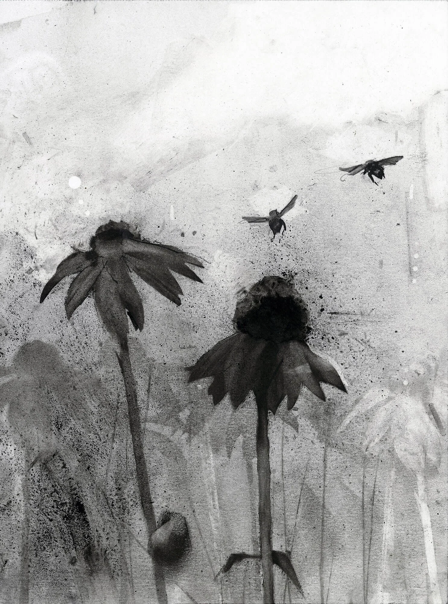 Heading Out | honey bee fine art print