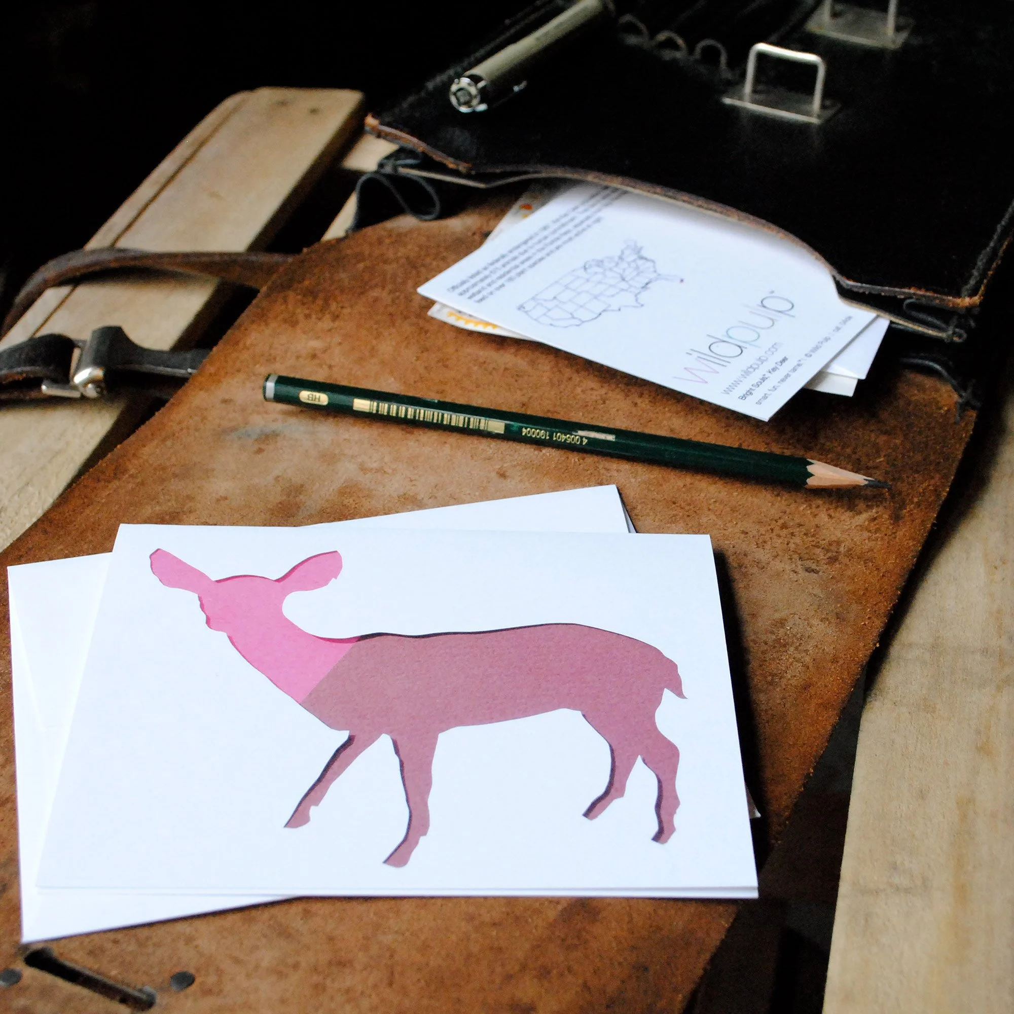 Florida Key Deer blank note card and envelope inside a school bag, educational kids nature gift and children stationery set.