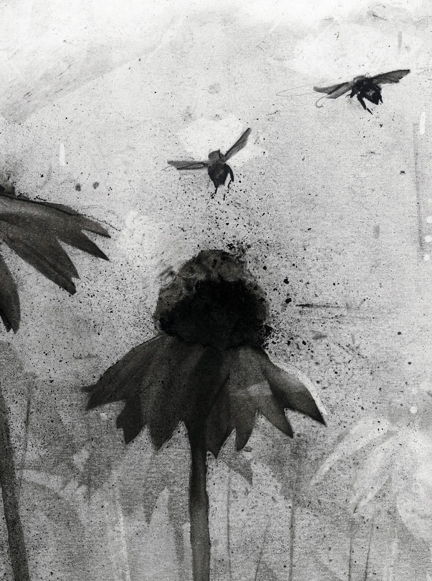 Detail of archival giclée print showing honey bees in flight and expressive charcoal texture around purple coneflowers.