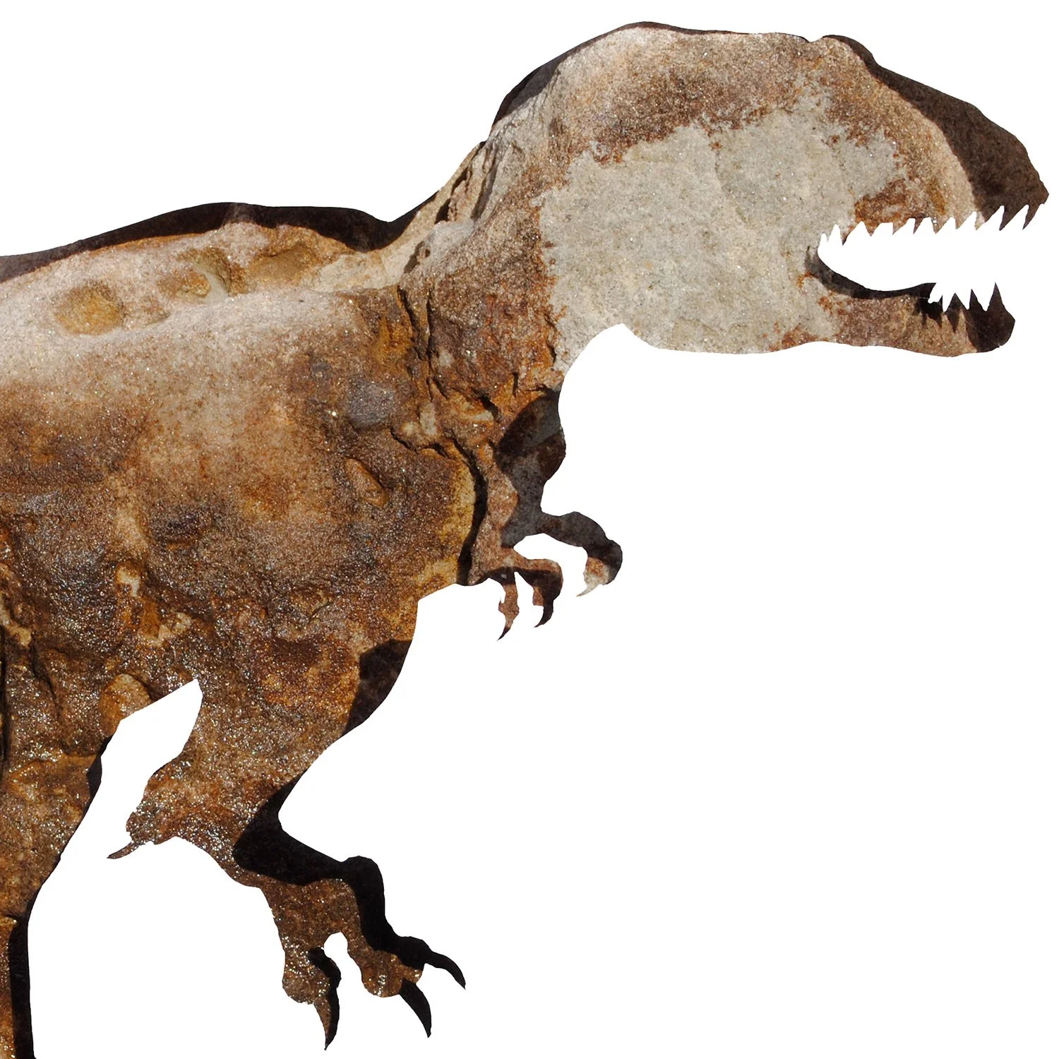 Nanotyrannus in Stone | dinosaur print