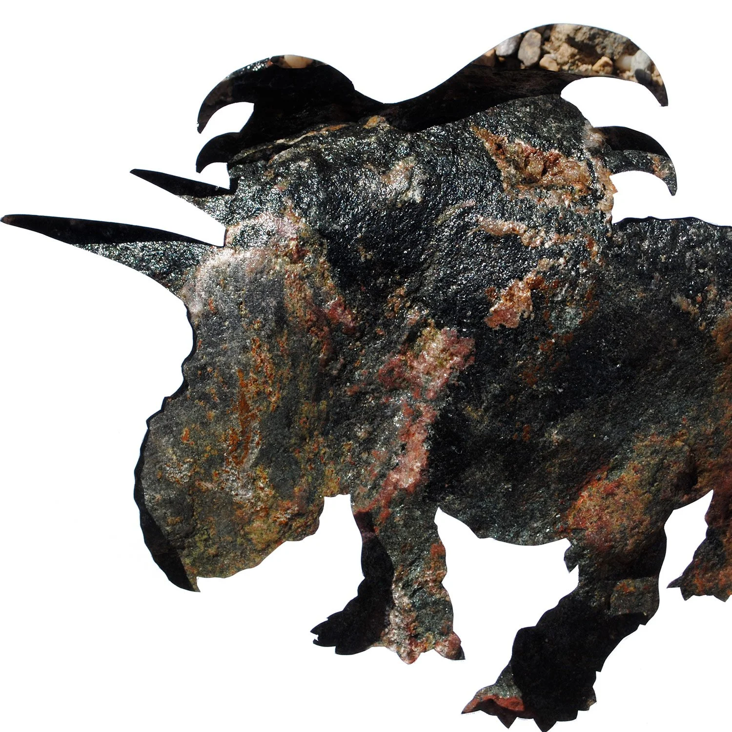 Medusaceratops in Stone | dinosaur print