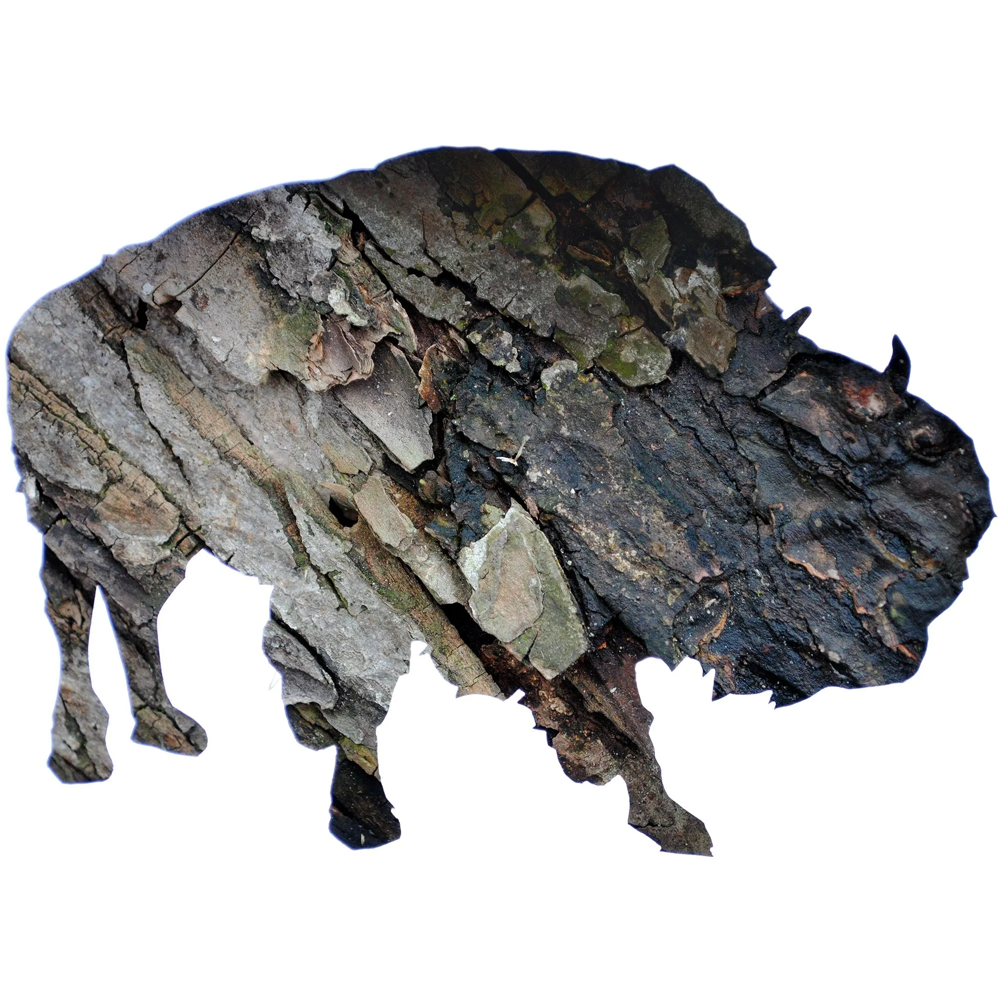 American Bison wildlife art print featuring a moose silhouette created from photographs of real tree bark textures on a white background.