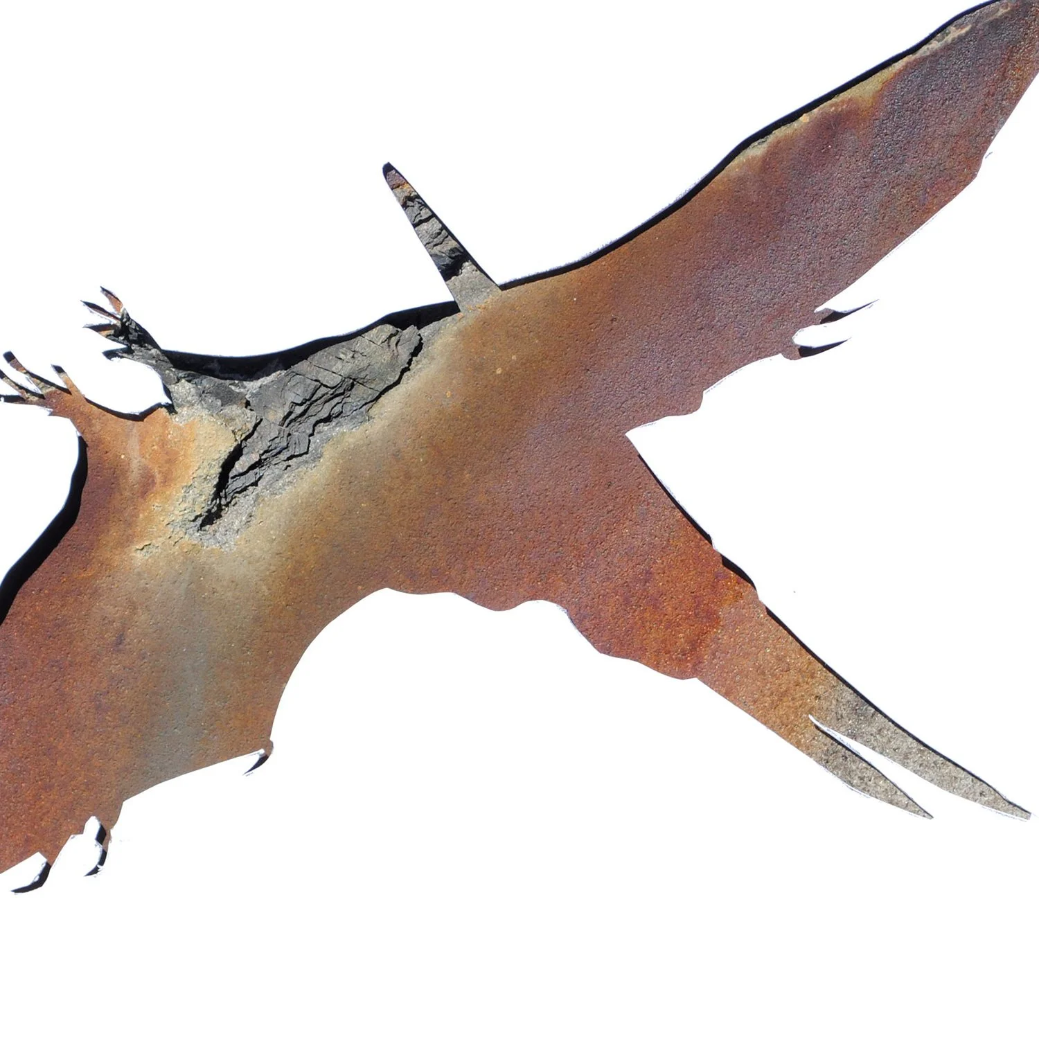 Pteranodon in Stone | dinosaur print