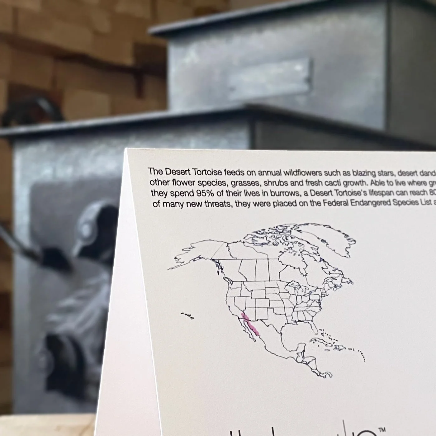 Back of wildlife stationery card showing educational Desert Tortoise facts and illustrated habitat map.