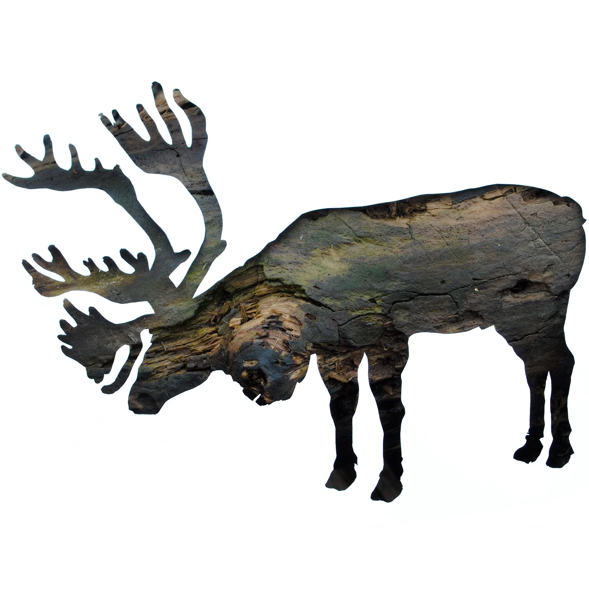 Caribou wildlife art print featuring a moose silhouette created from photographs of real tree bark textures on a white background.