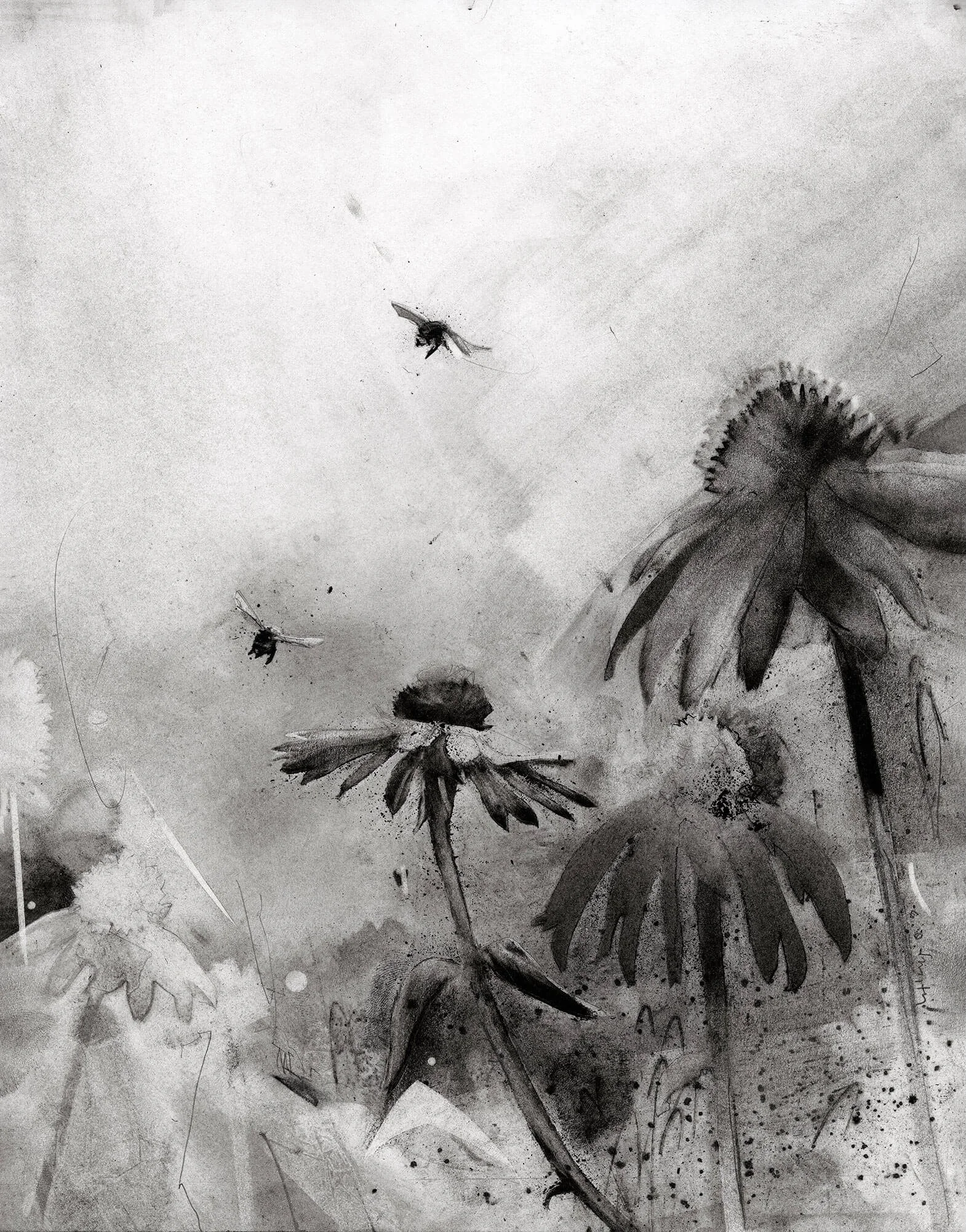 Foraging Midday | honey bee fine art print