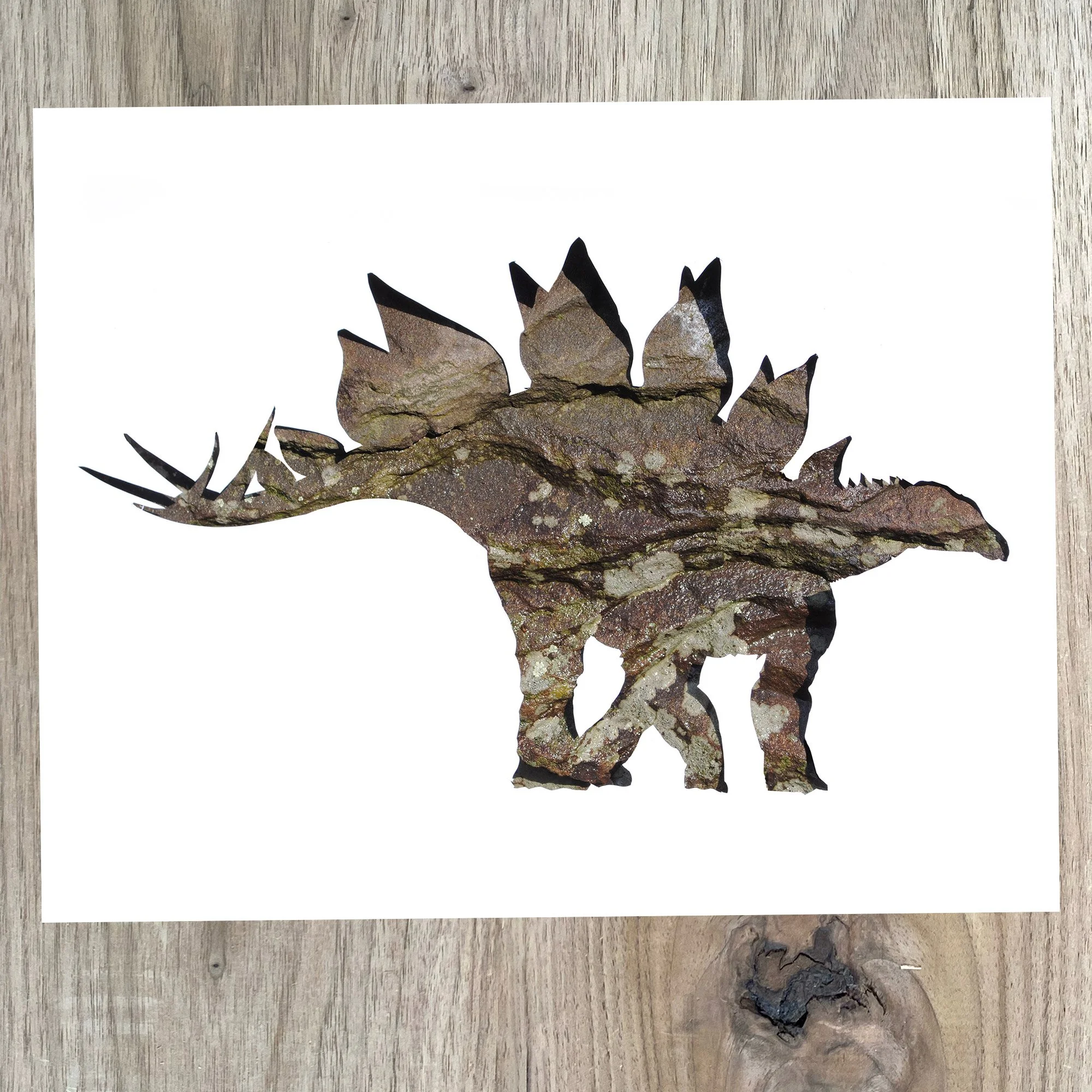 stegosaurus-print-on-table.jpg