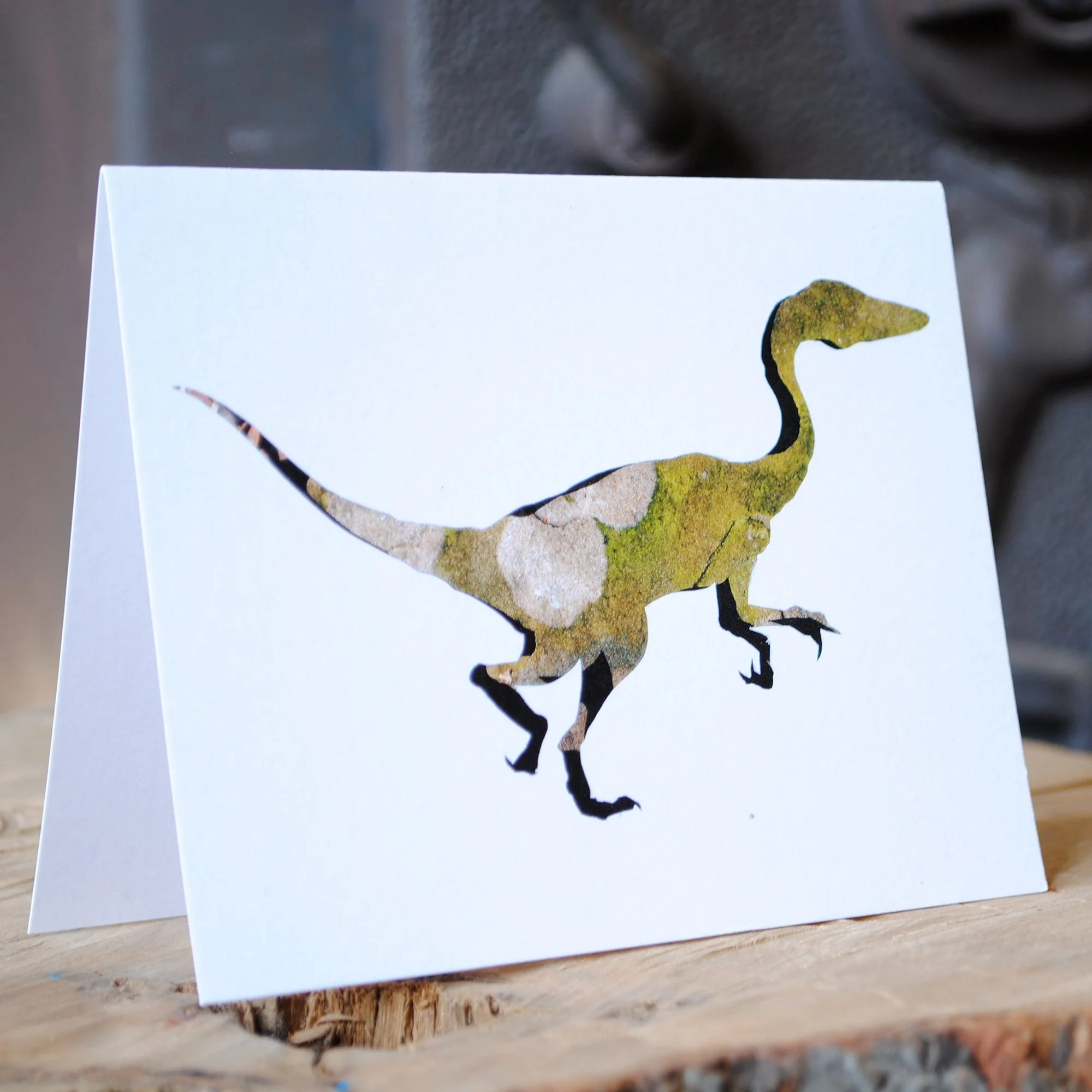 Coelophysis Note Cards