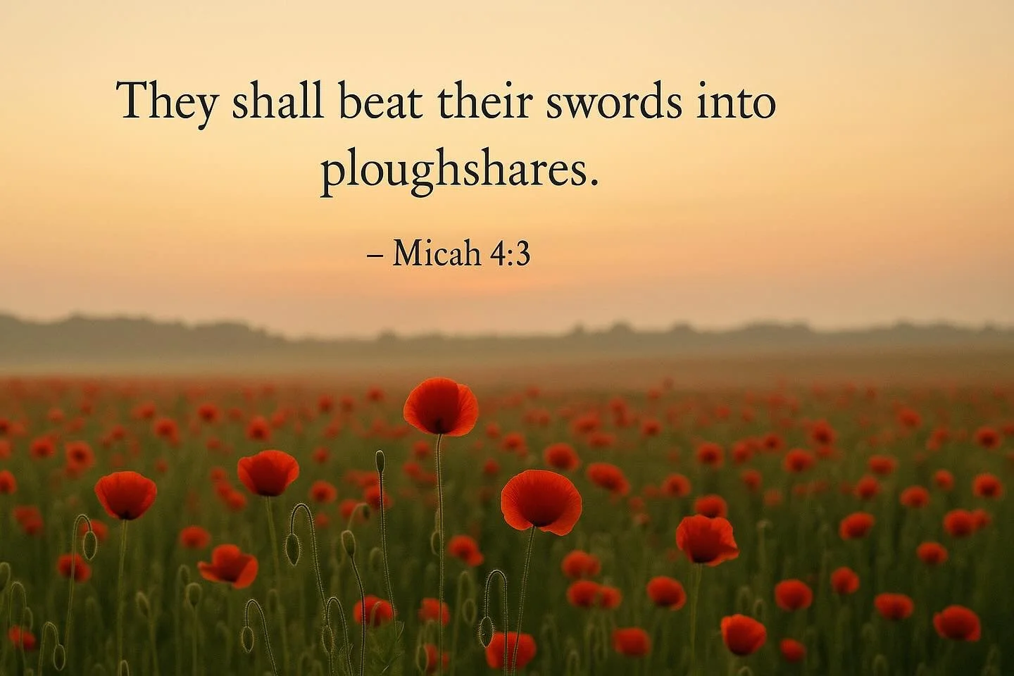 As poppies bloom where battles once were, we remember those who gave their lives -  and we hold fast to hope.
Join us this Sunday as we remember, pray for peace, and look toward the promise of God&rsquo;s kingdom.

All are welcome.
There is hope. #la