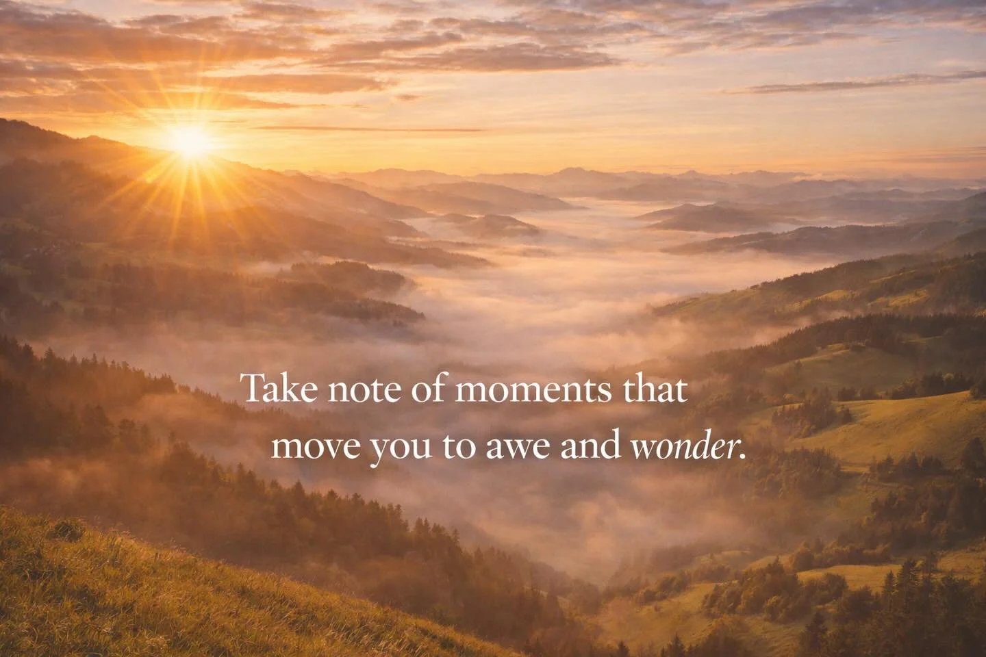 Thought for the week.