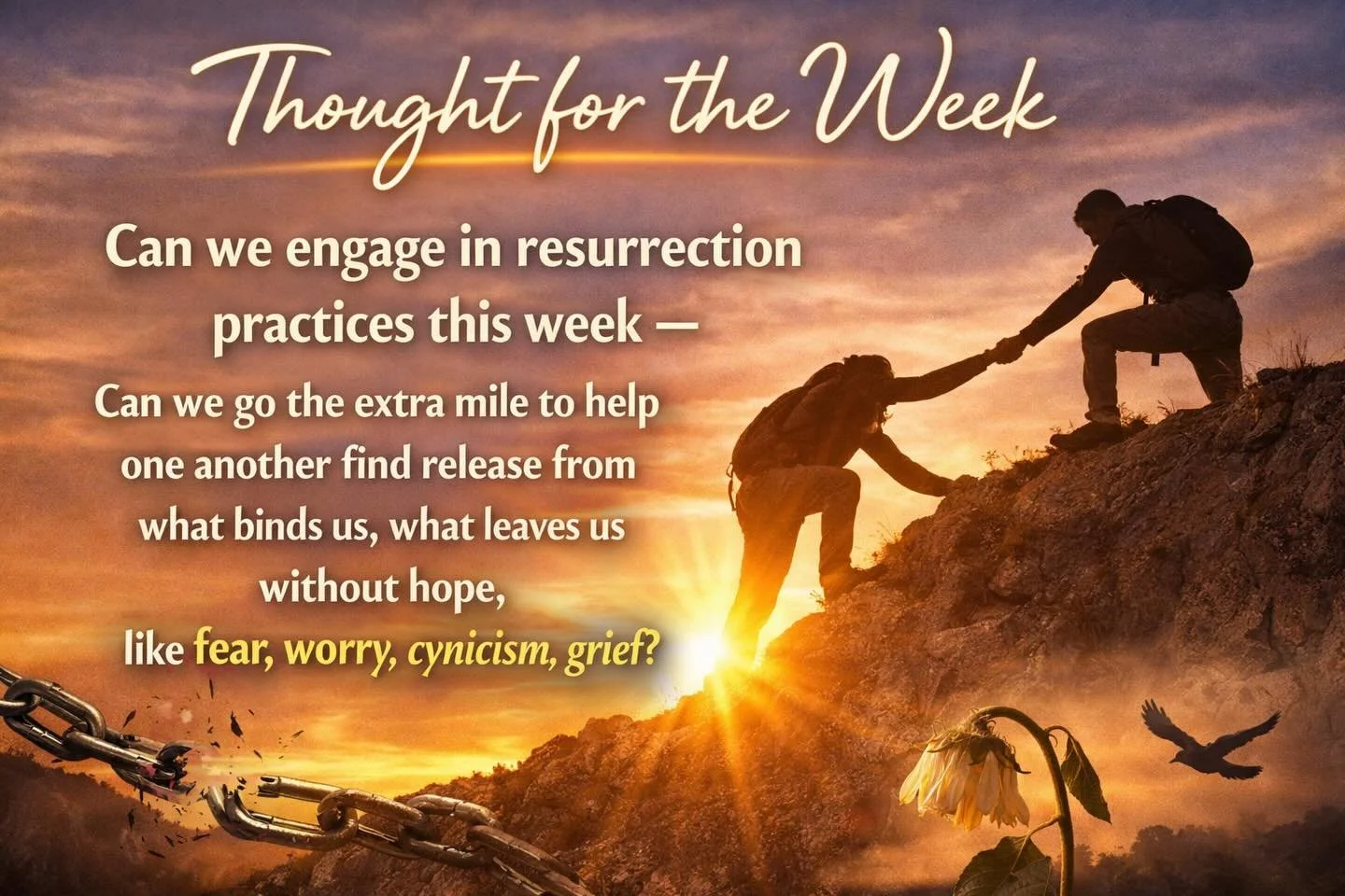 Thought for the week