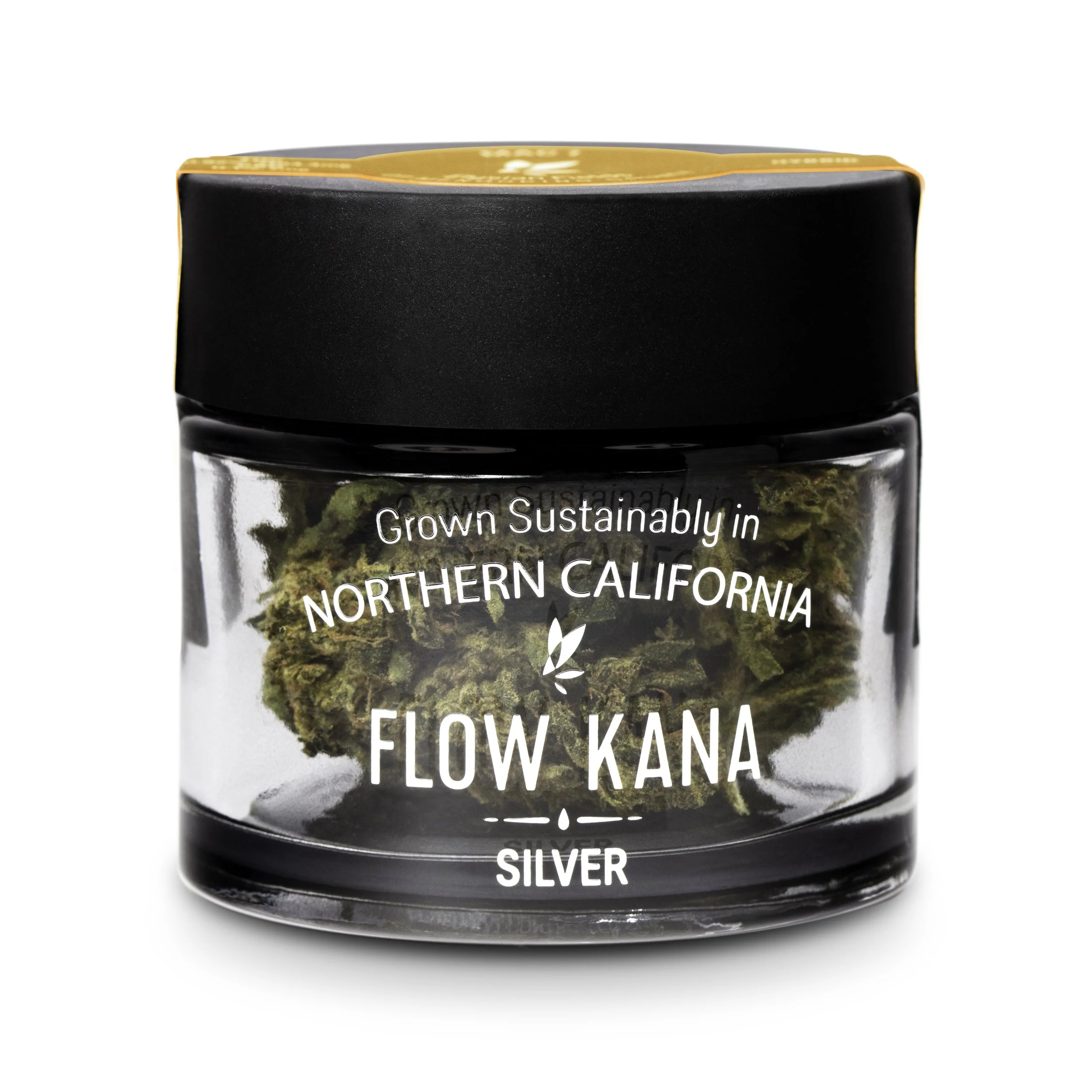 21FK_E_Silver_Sativa_Square_Retouched.jpg