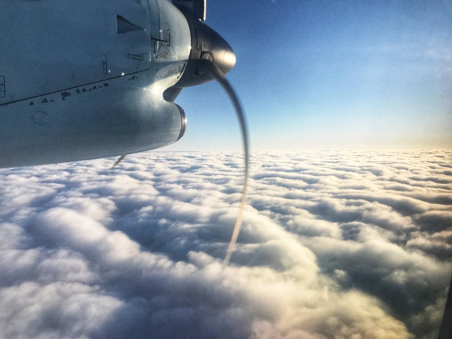 Dank Dawn — Costa Rica