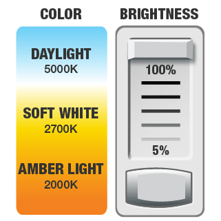 duo-bright.png
