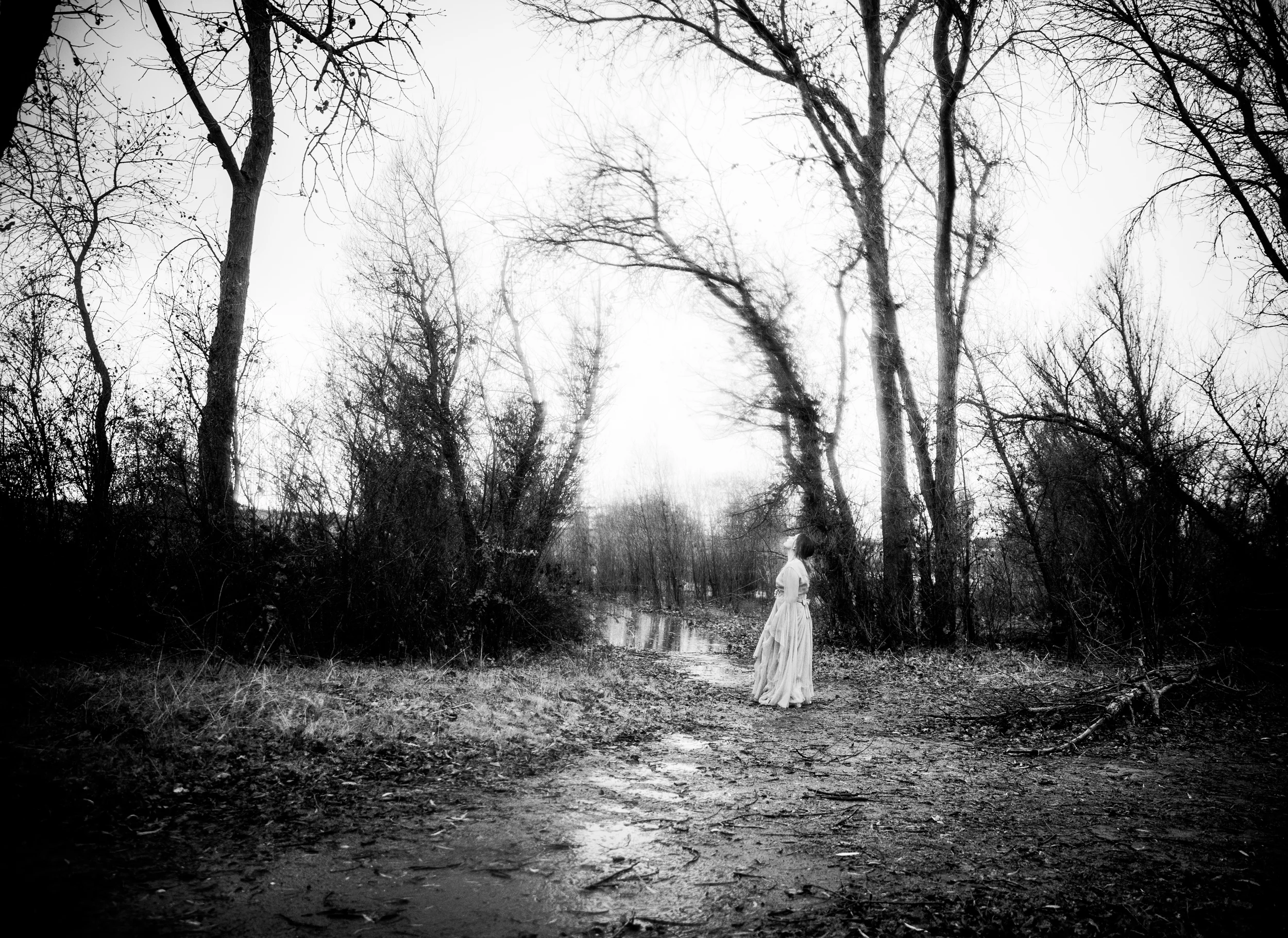 Marion