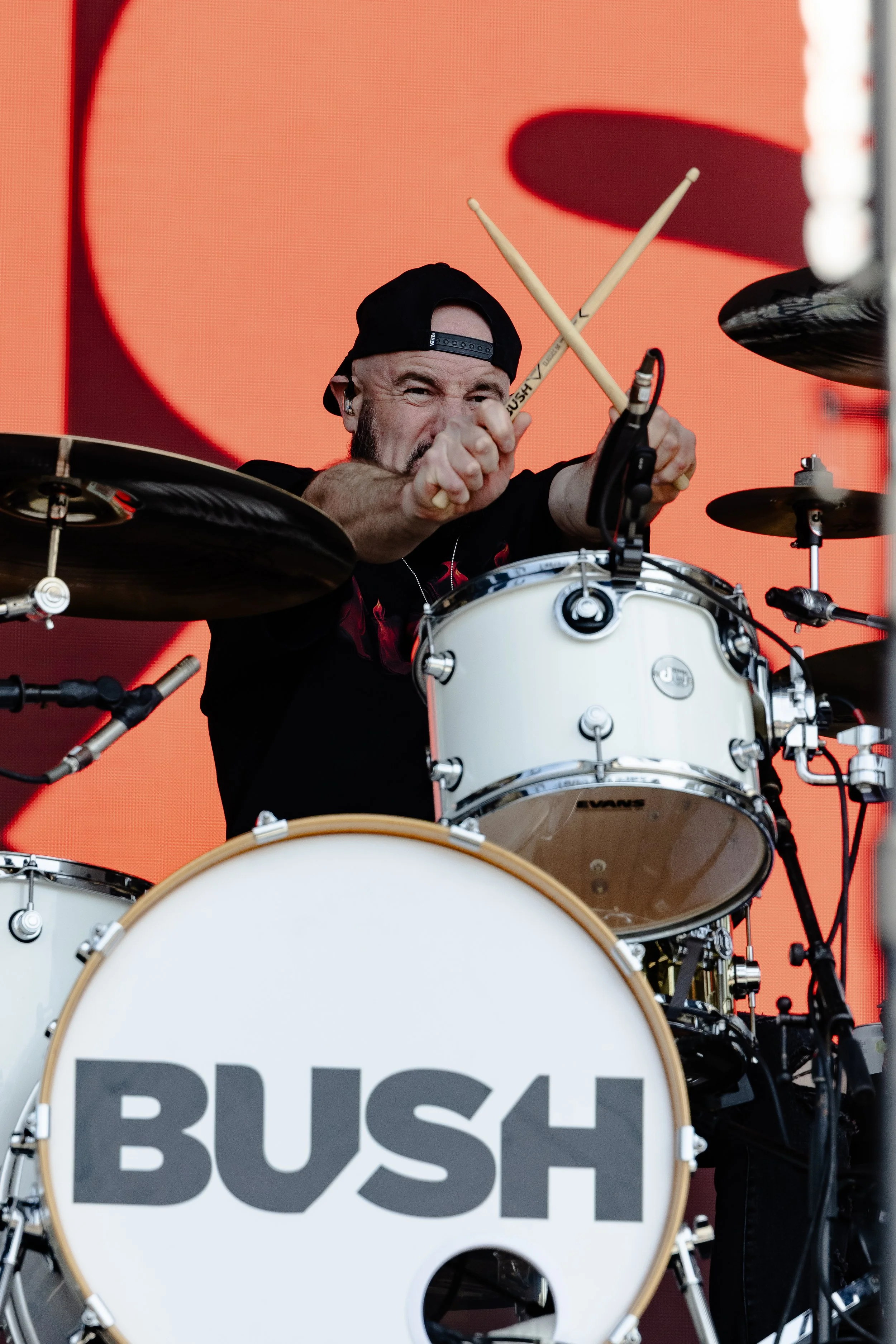 Bush