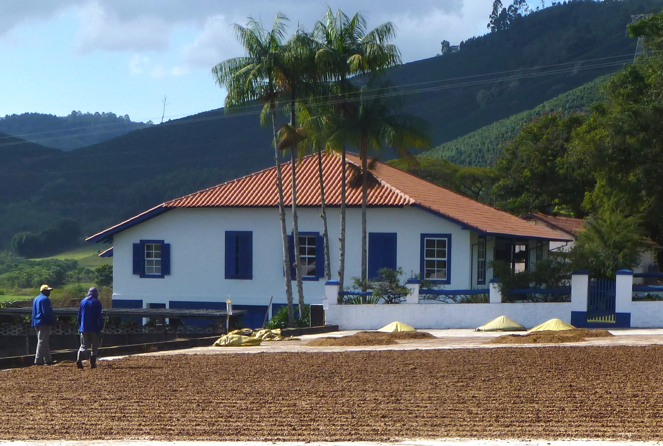 The beautiful Fazenda Recreio, one of our family's farms in Brazil.