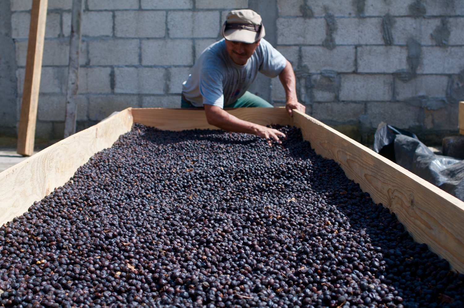 Timoteo & his natural process coffee. Photo courtesy De la Gente