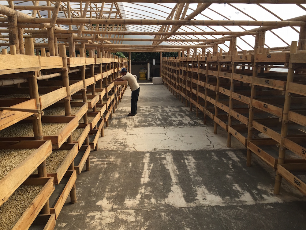 Experimental drying facility at Finca San Jerónimo Miramar in Guatemala