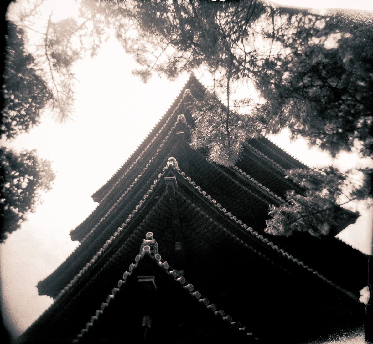 Temple, Nara, Japan