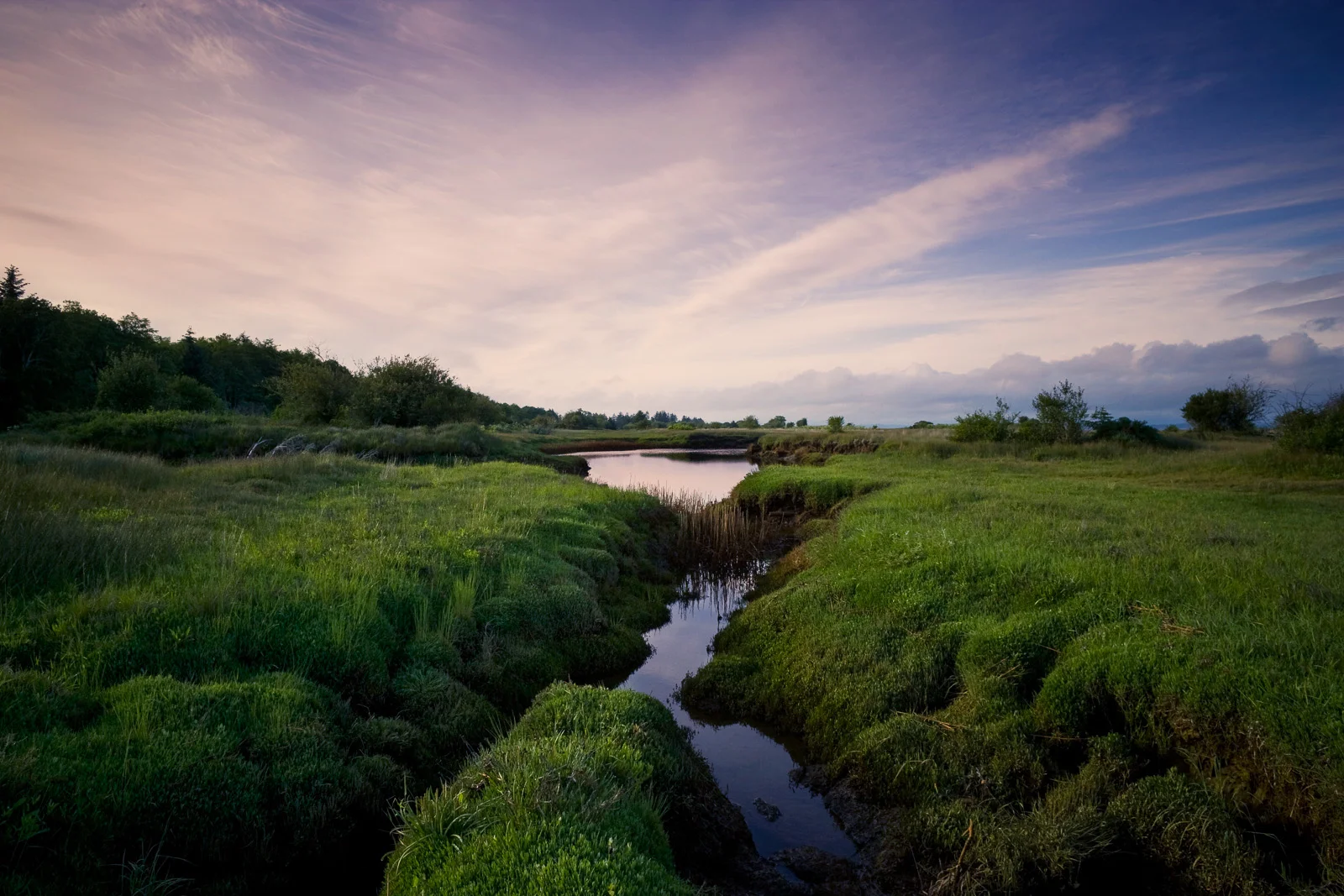Oysterville Slough, Washington