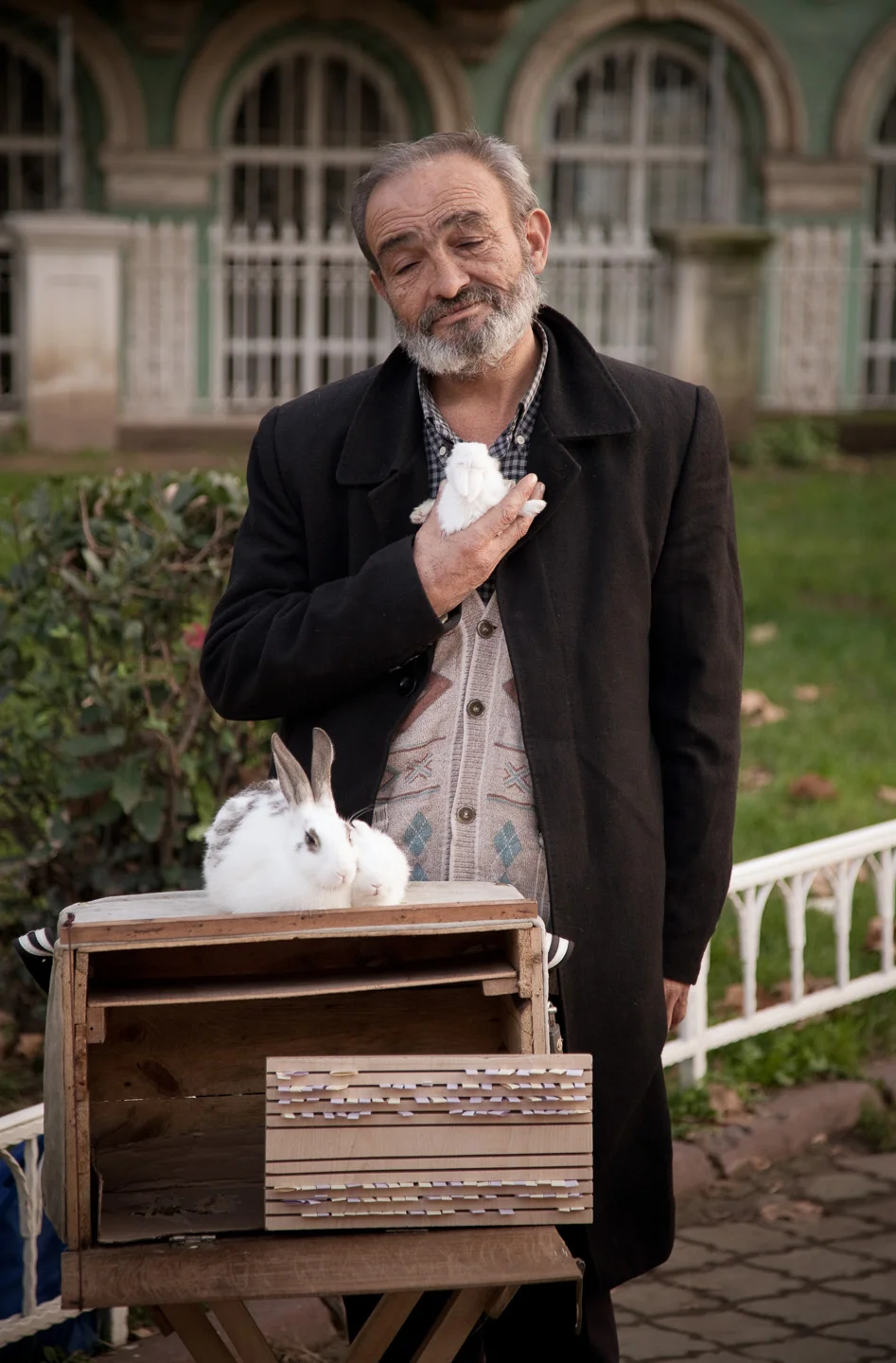 fortune teller in Istanbul