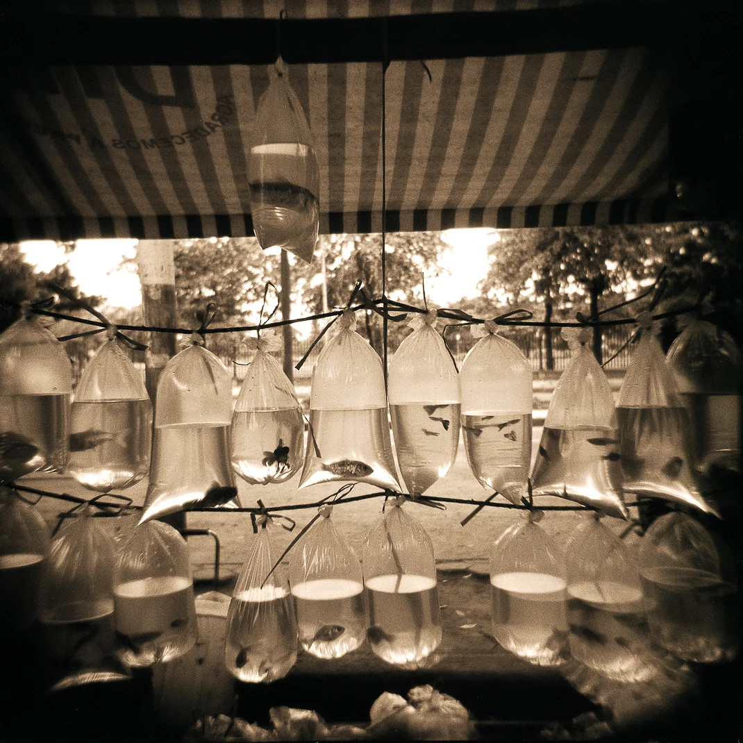 Fish in Bags, Rio de Janiero, Brazil