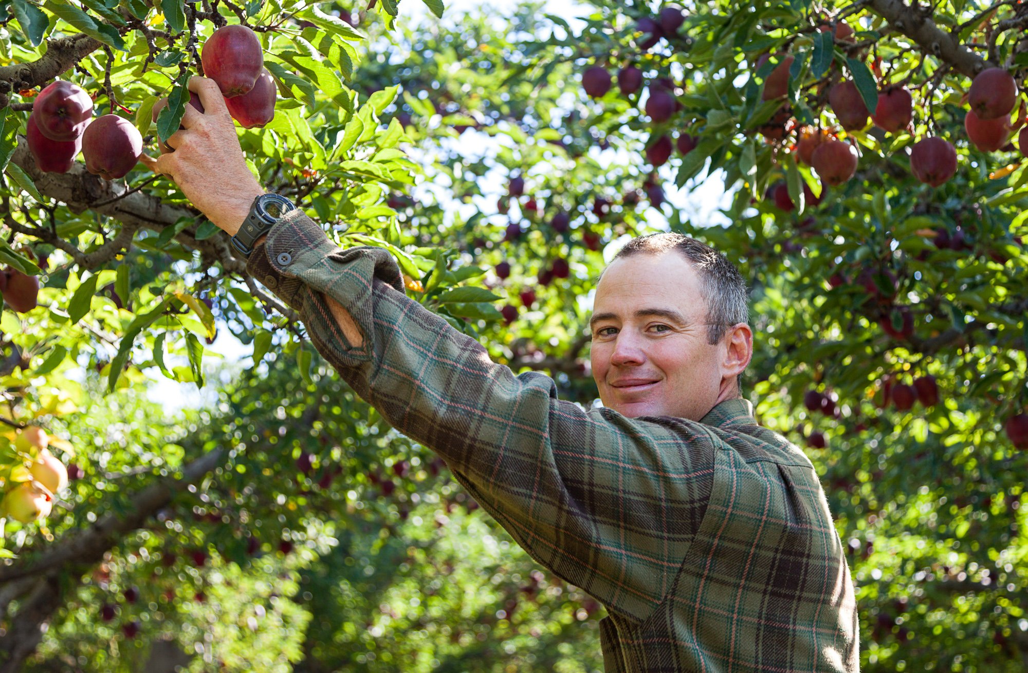  Washington apple farmer, client: McDonald's 