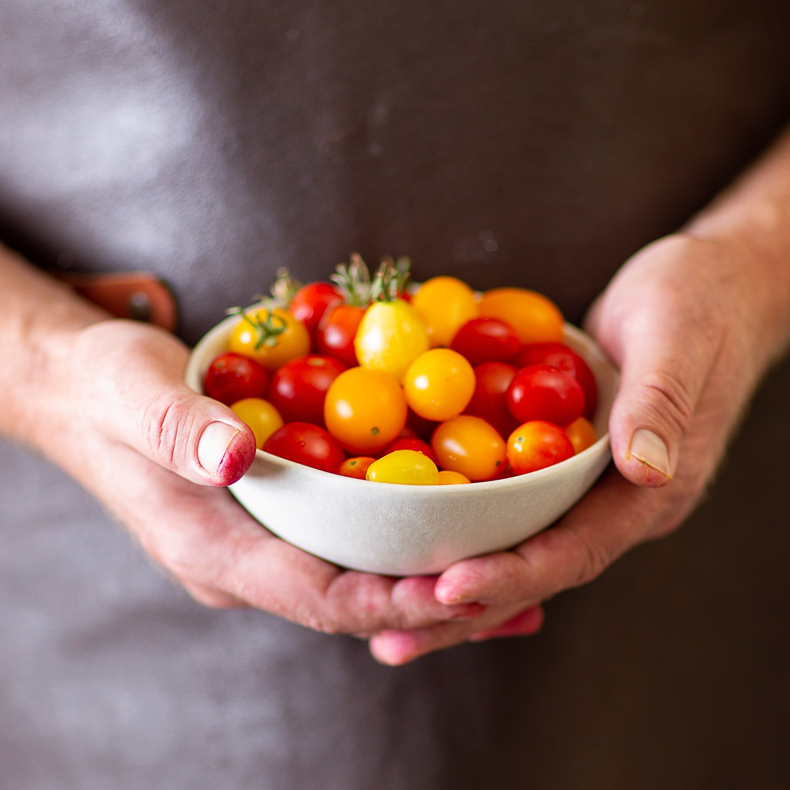  Chef with bowl of garden fresh tomatoes, client: Erik Peterson, Island Larder 