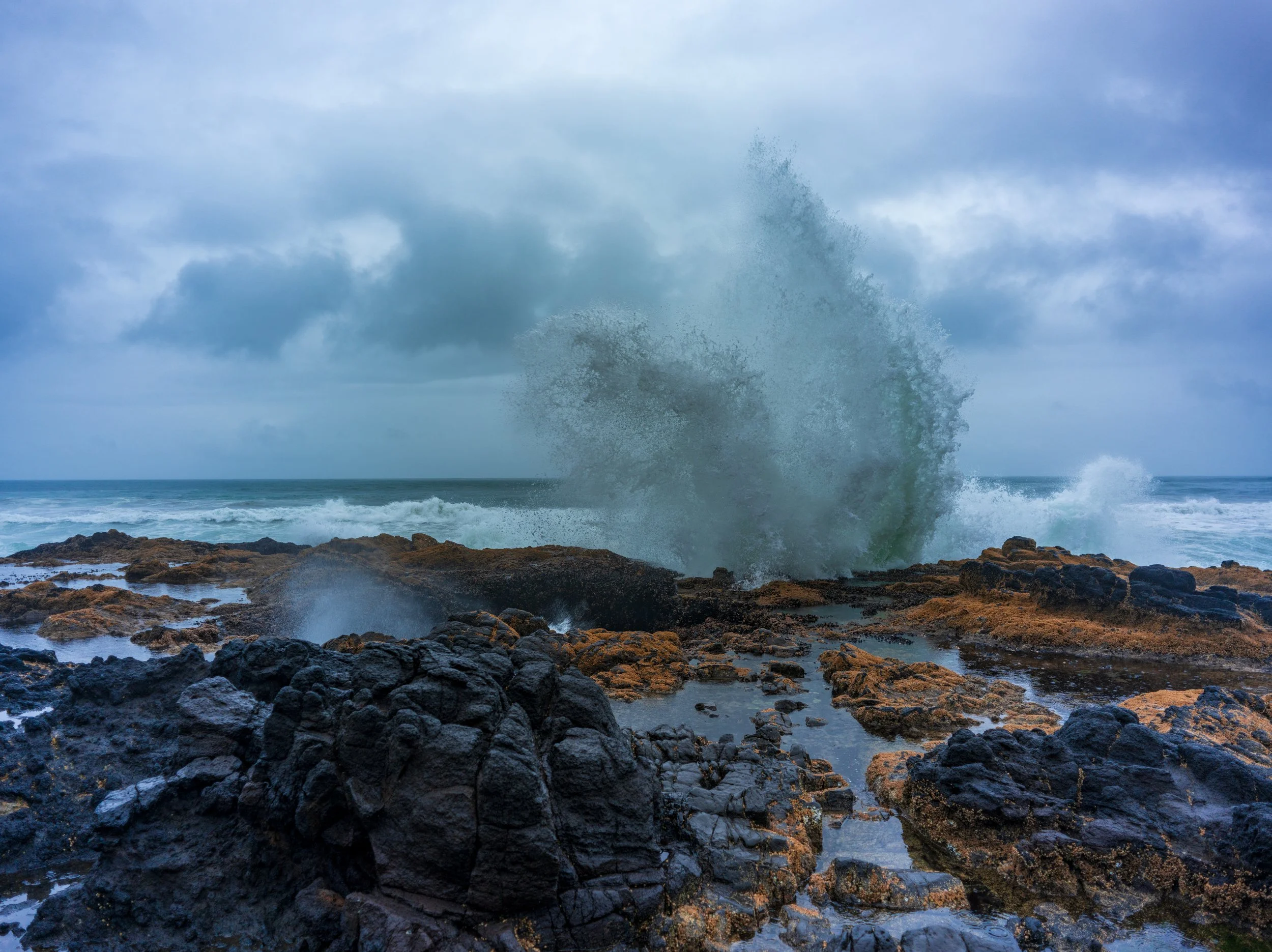 Oregon Coast-0098.jpg