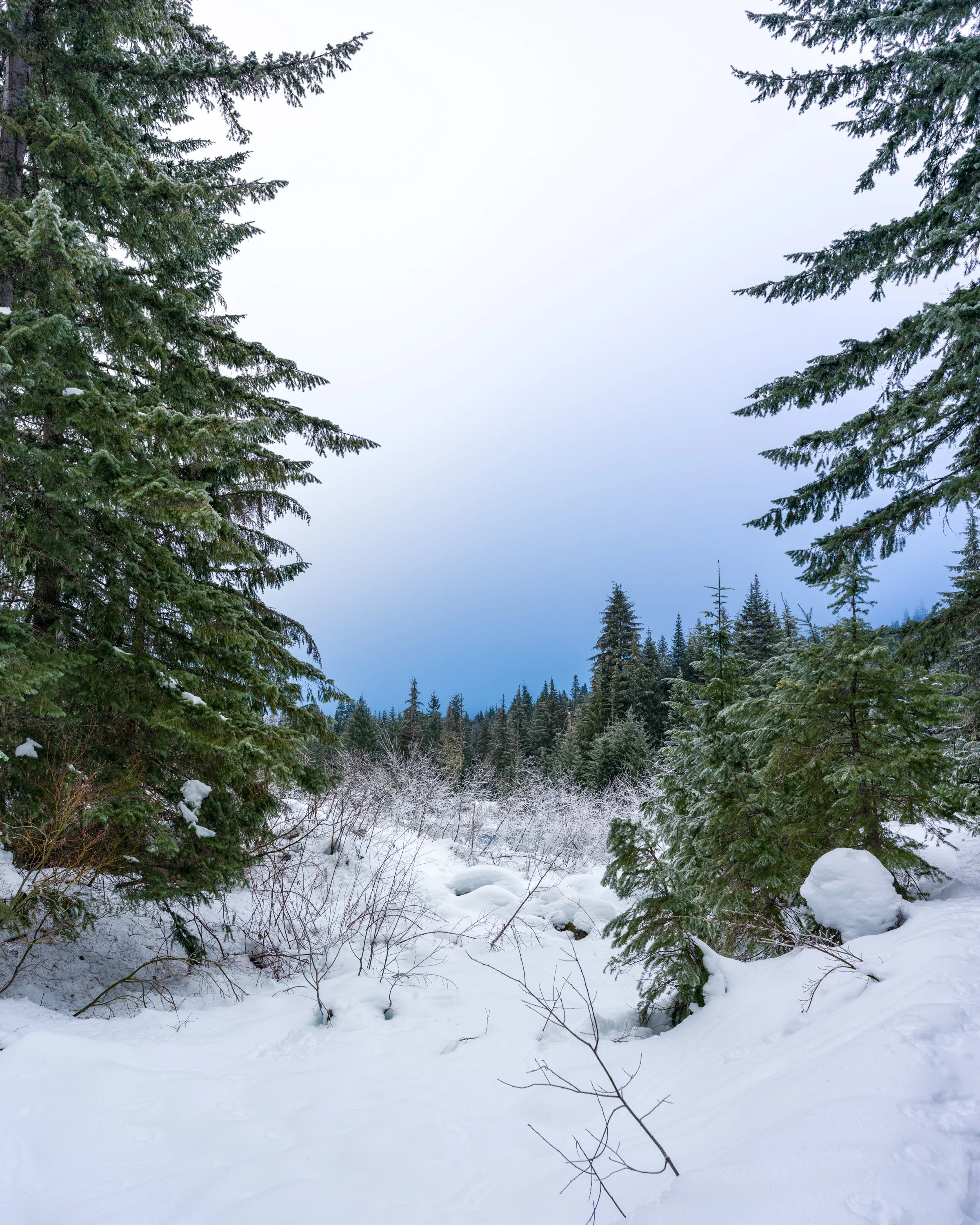 Gold Creek Snow Day-055.jpg