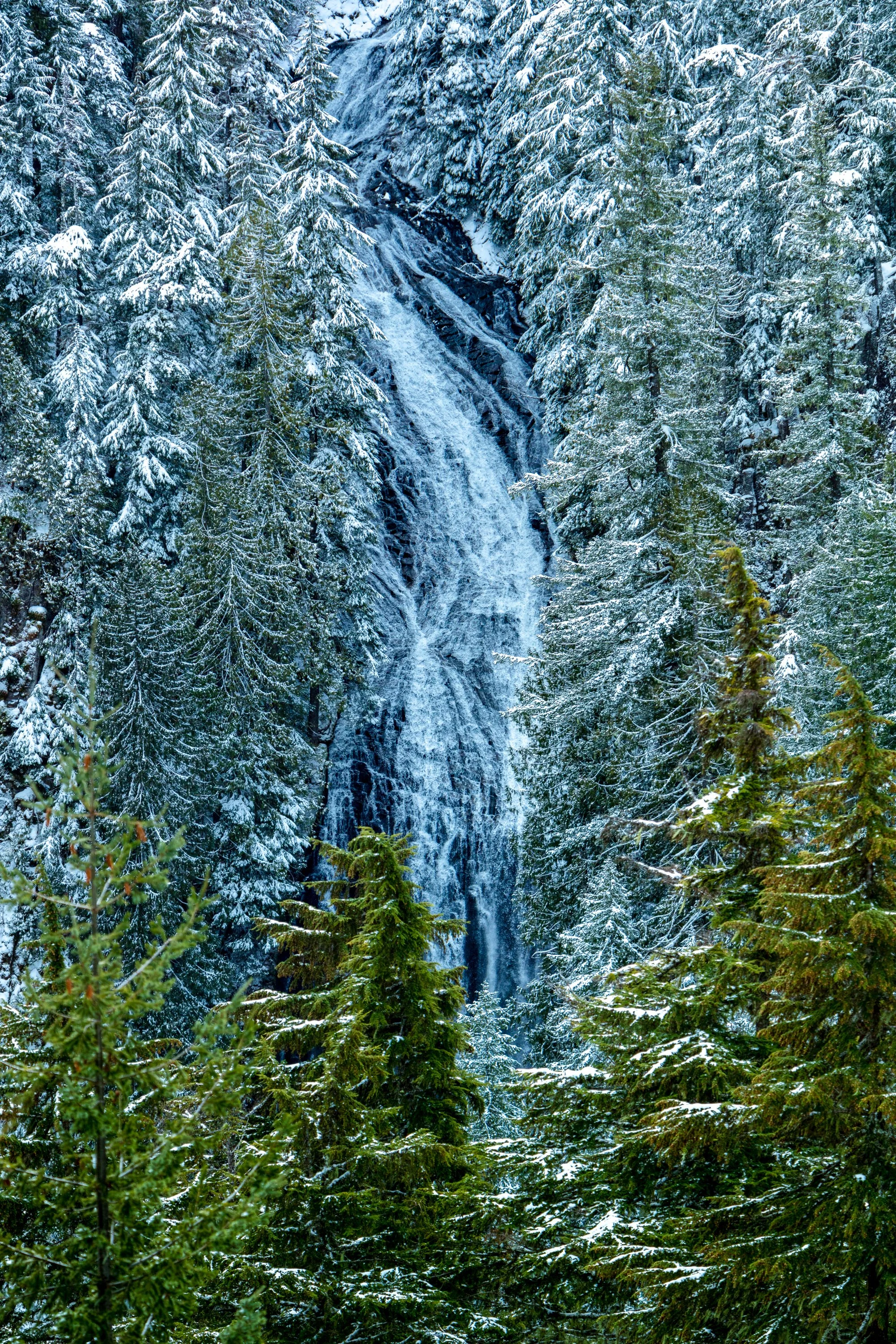 Packwood-White Pass-Rainier-21-069-4.jpg