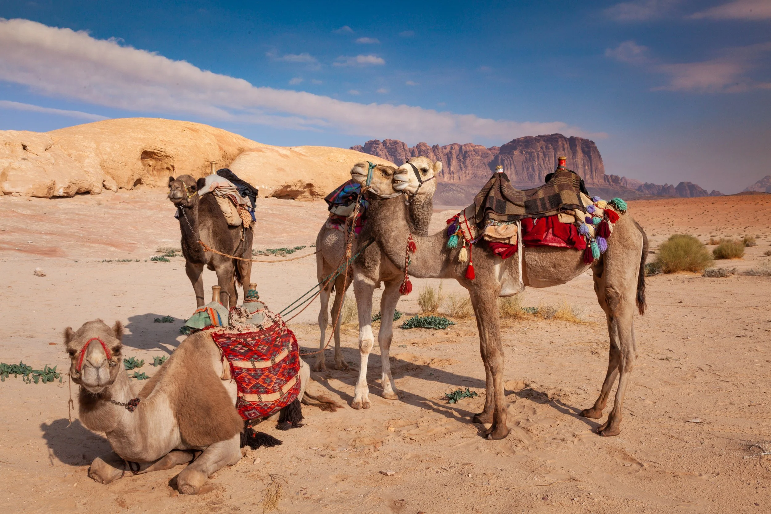 wadi-rum-0401.jpg