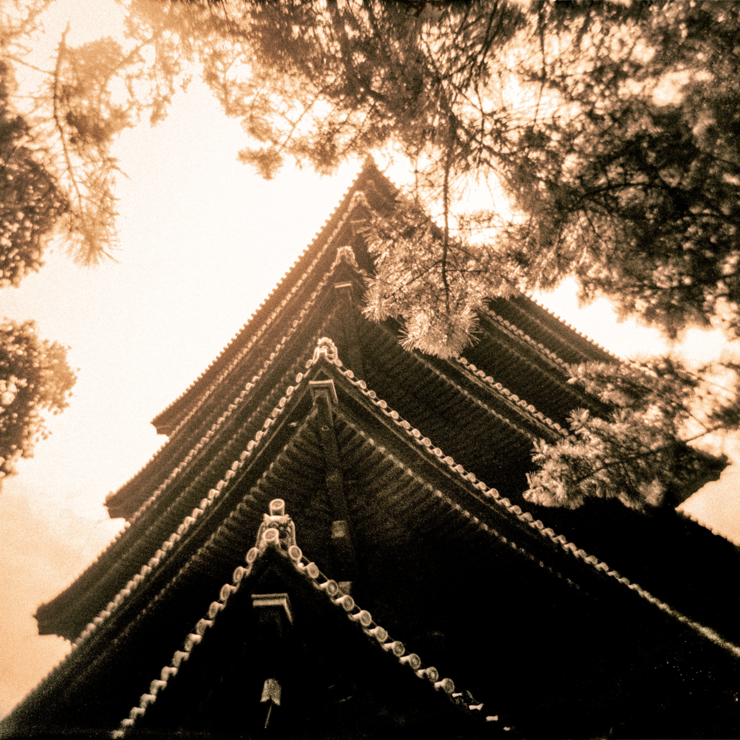 nara pagoda holga 2 16x15.jpg