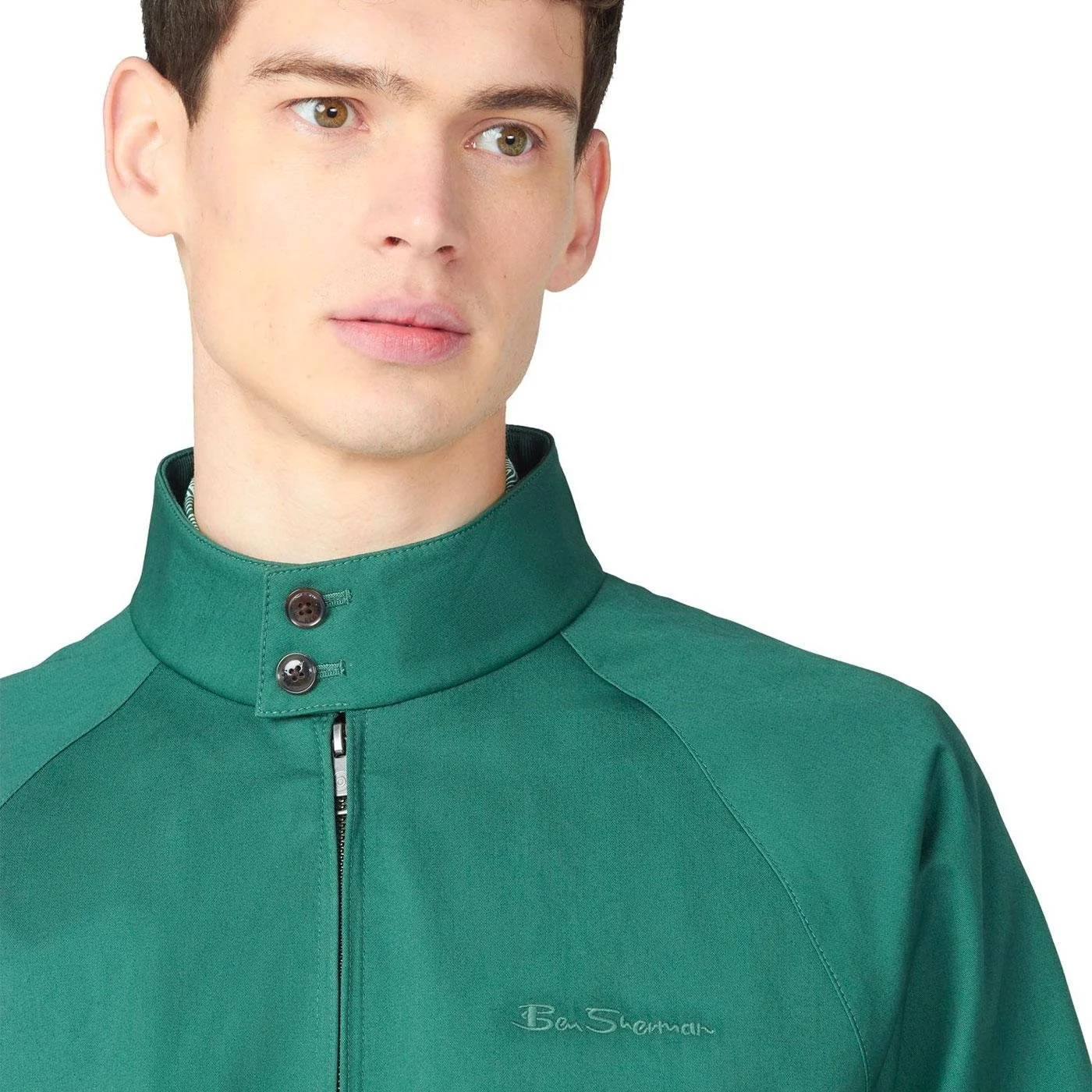 Ben Sherman Signature Harrington Jacket in Green — CARY LANE