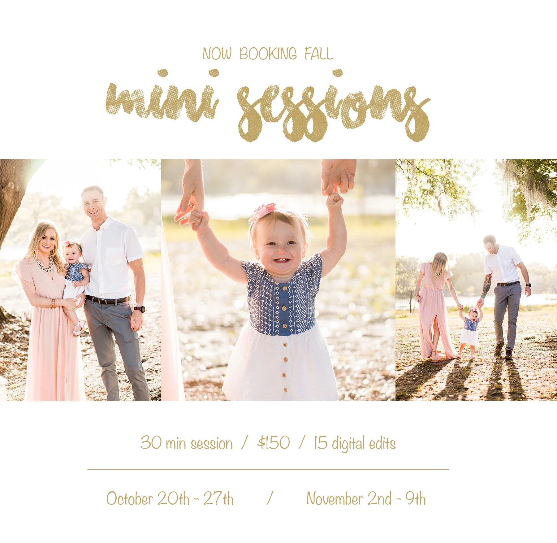 Mini Sessions.jpg