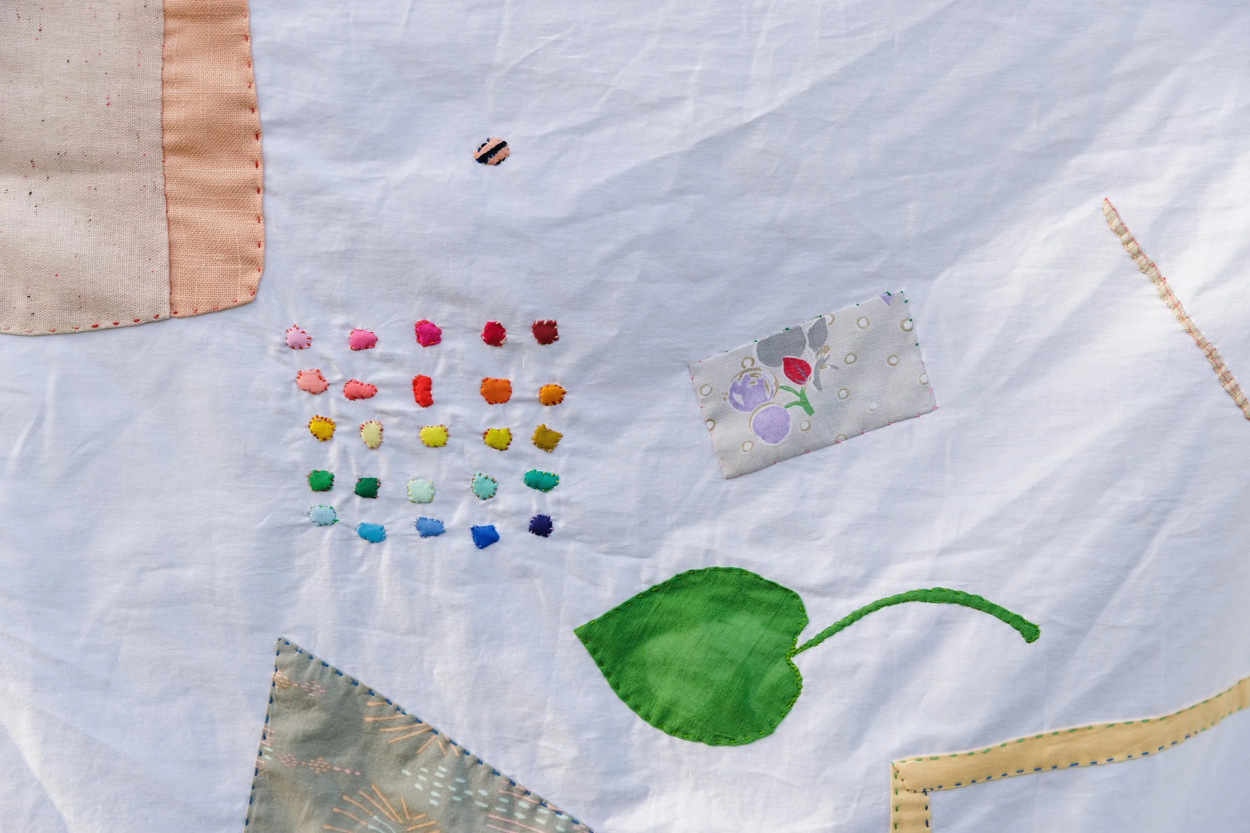 20260907-Jeff-Parkes-Heidi-Quilt-030.JPG