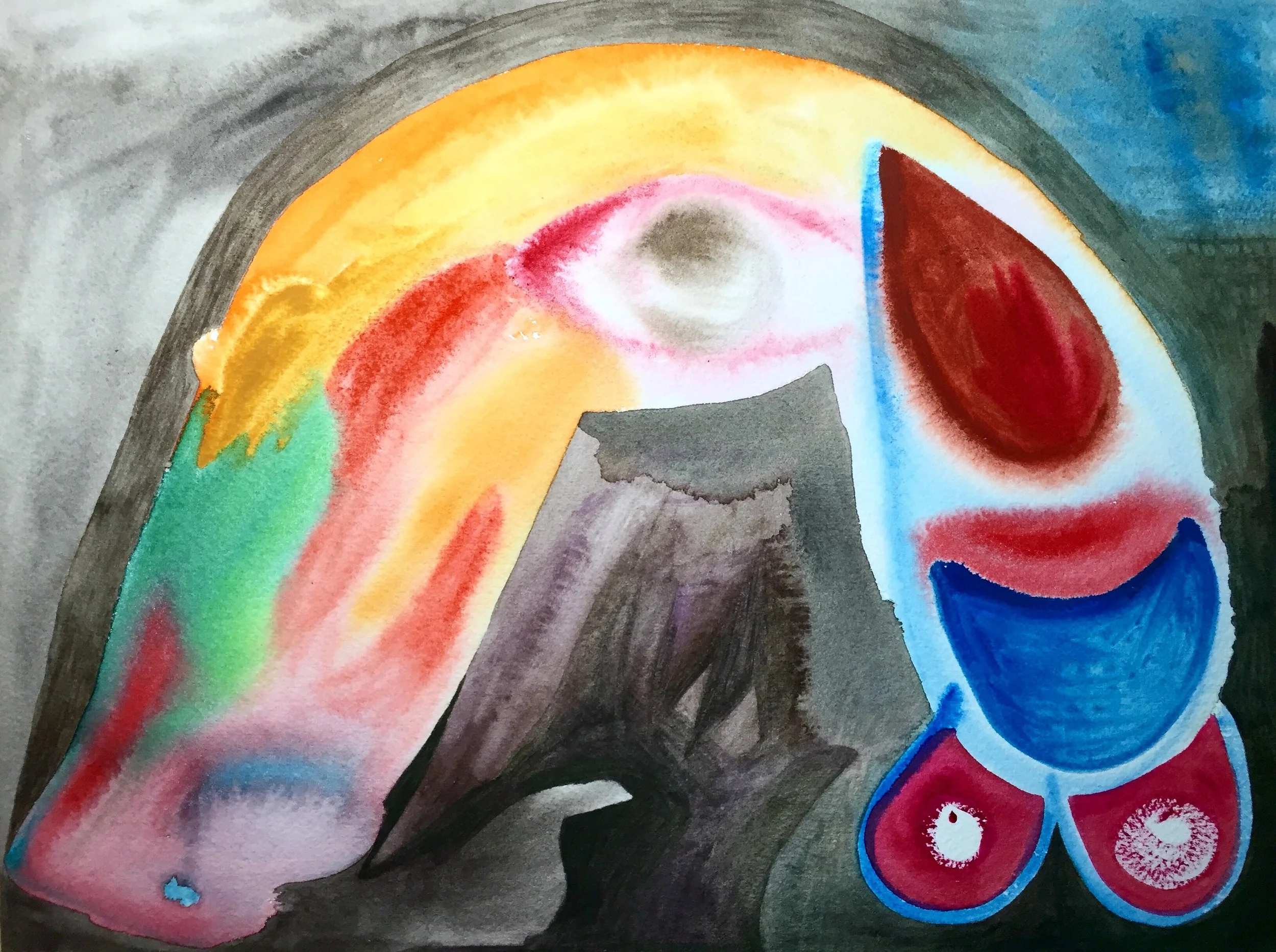 Caudis Pauvonis , watercolor on paper, 12 x 9 inches